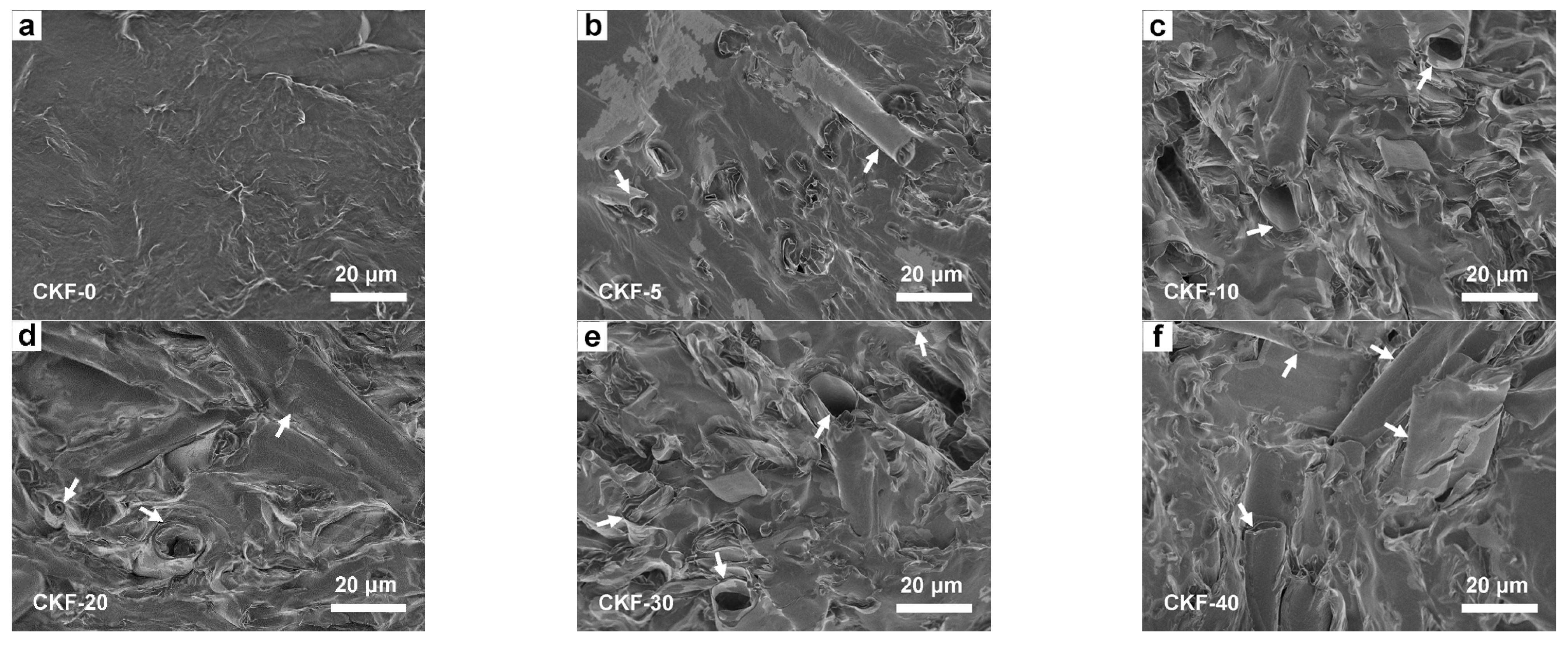 Materials 15 04845 g004