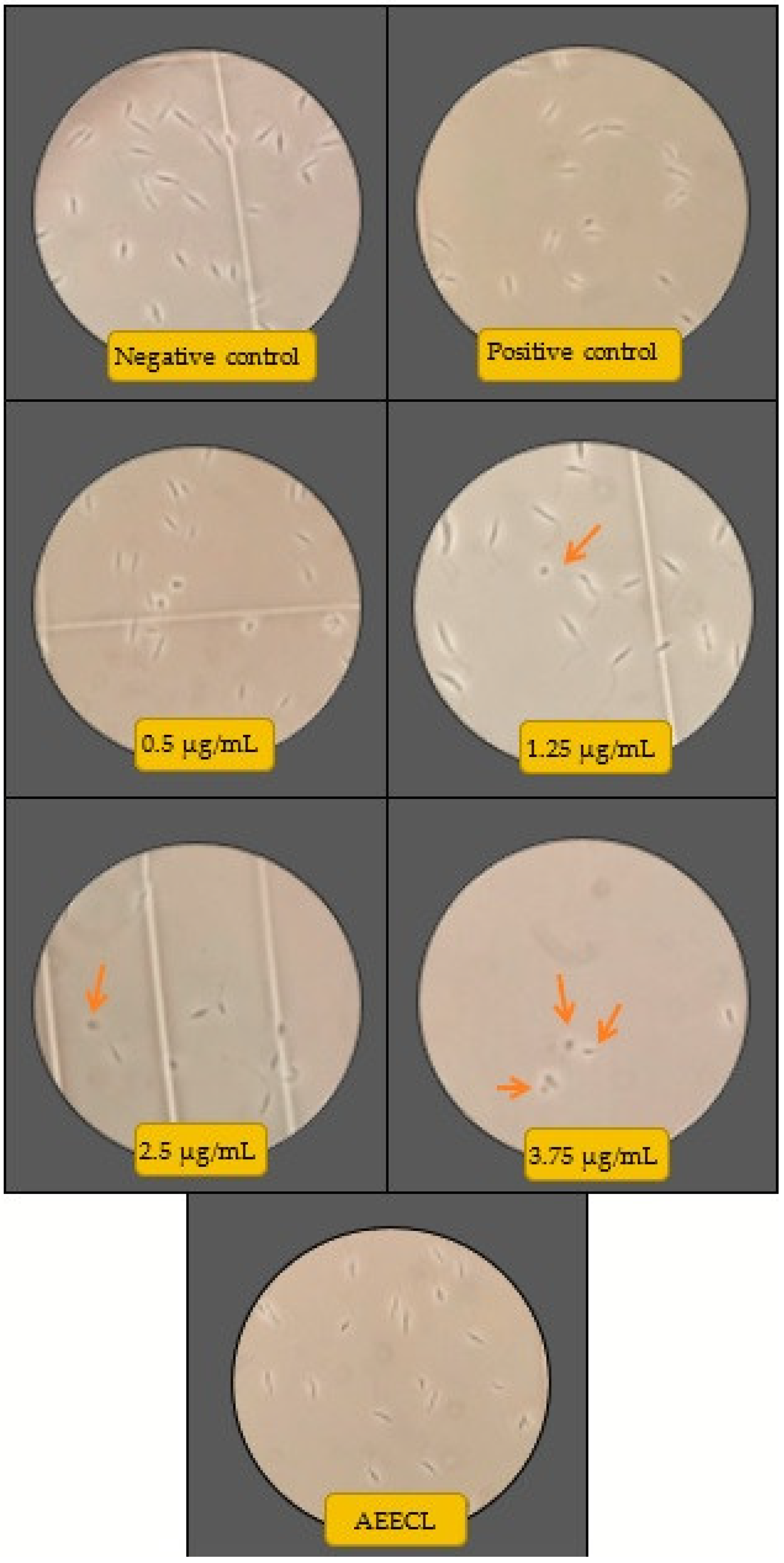 Materials 15 04880 g009