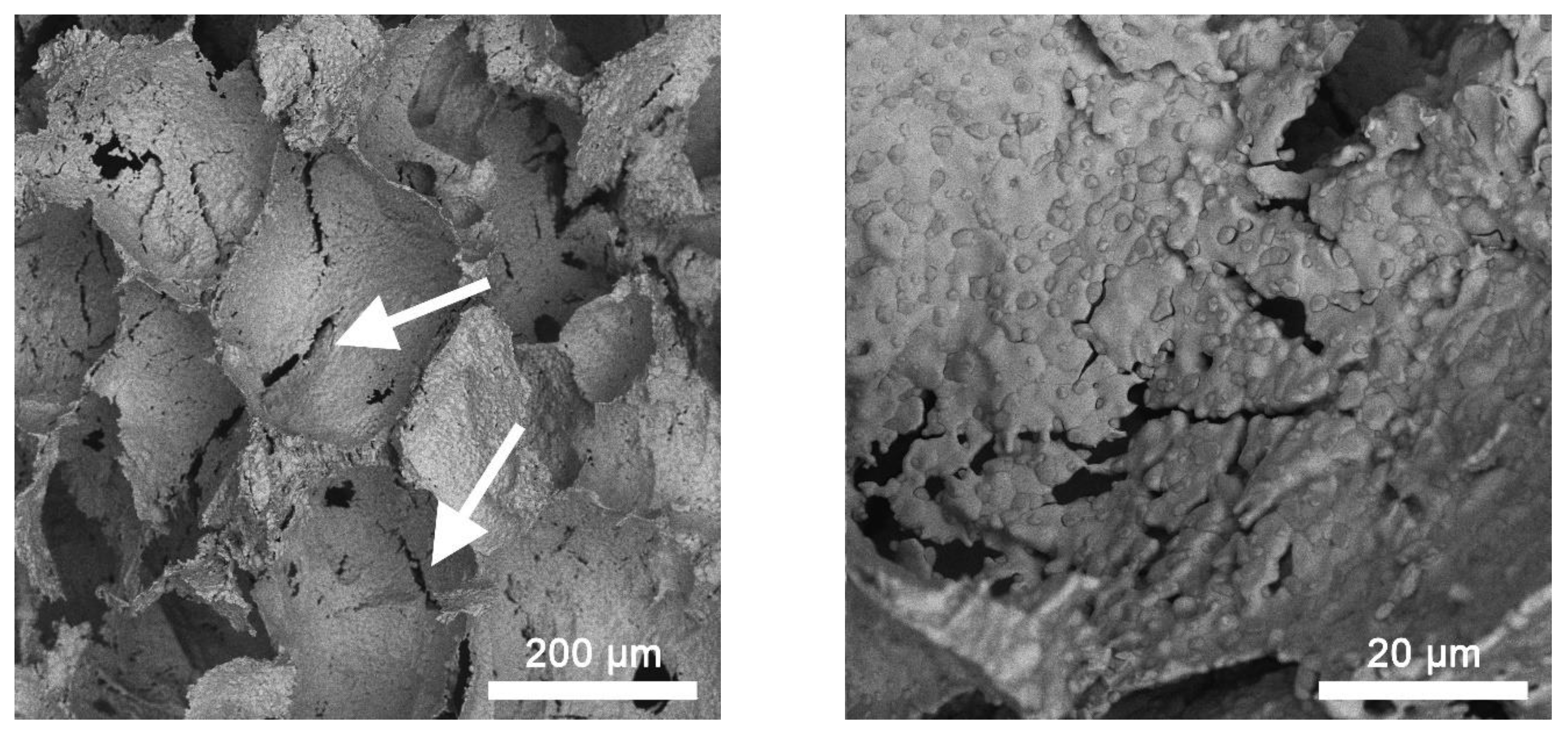 Materials 15 04900 g009