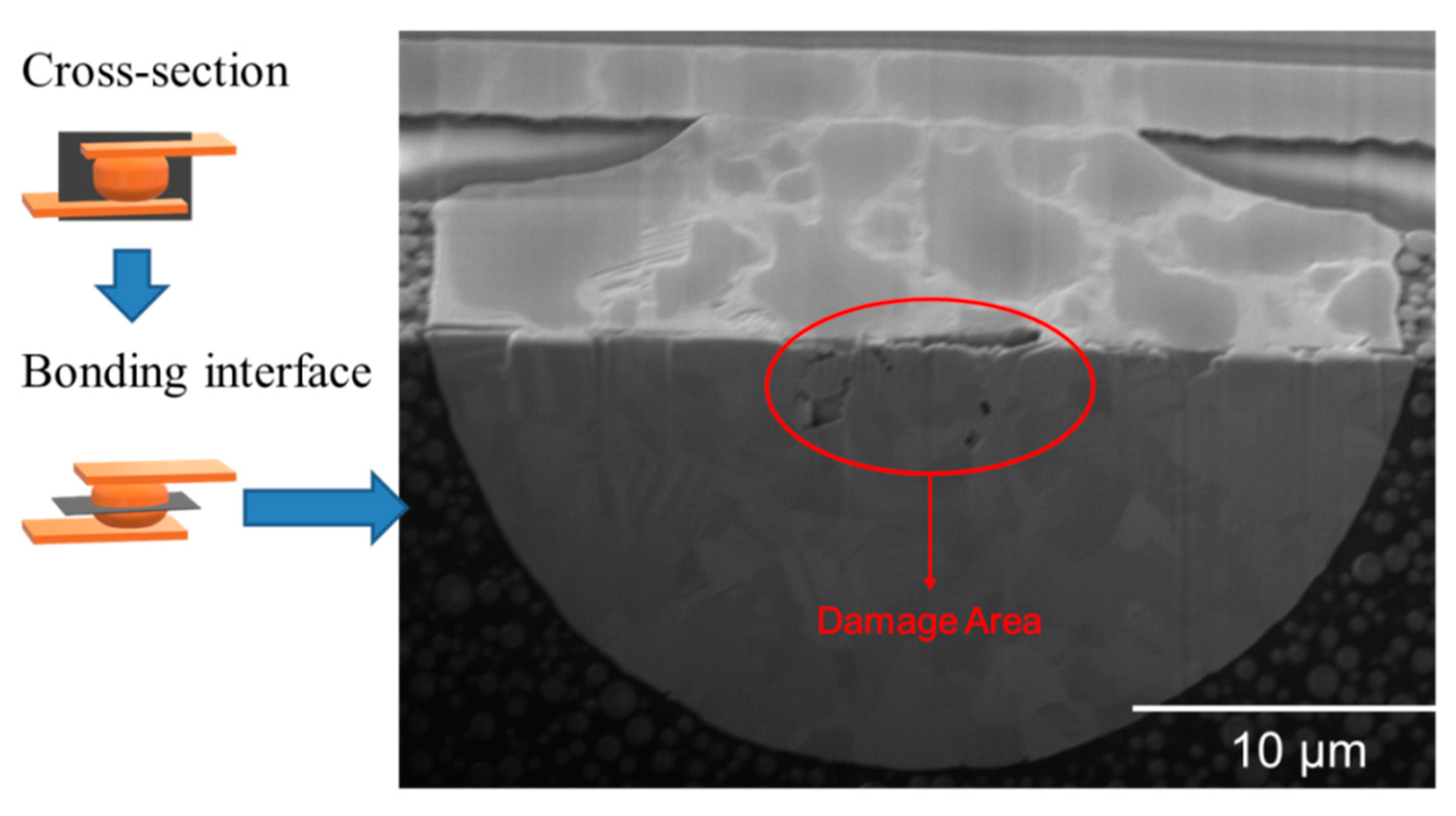 Materials 15 04944 g006