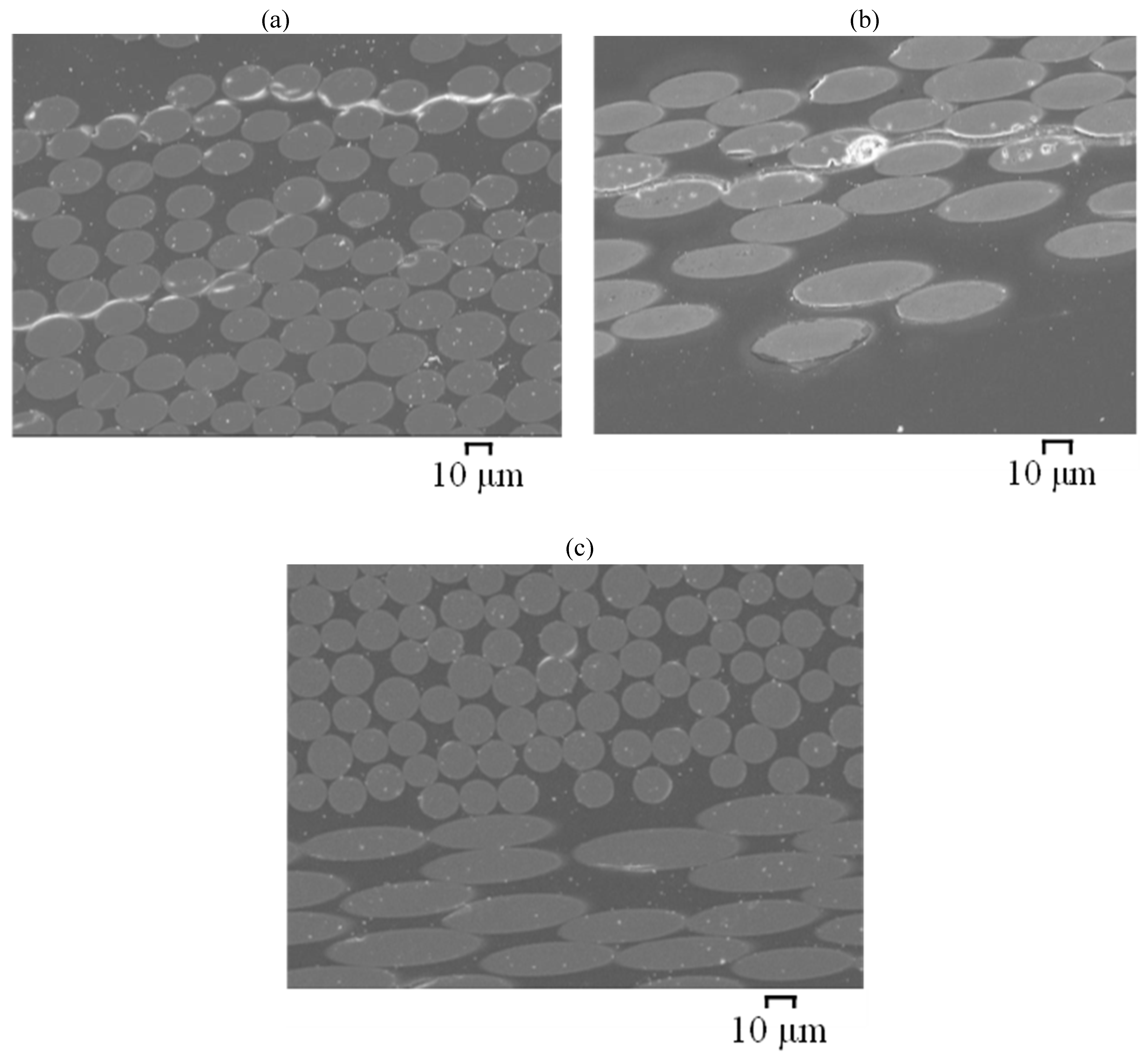 Materials 15 04967 g012