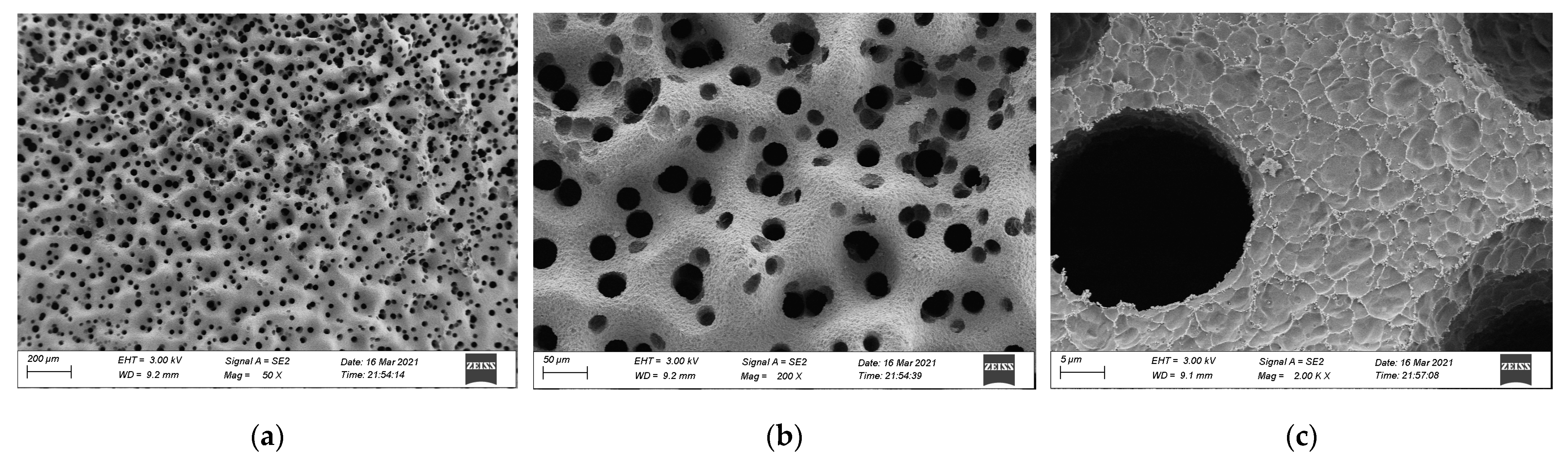 Materials 15 04973 g013