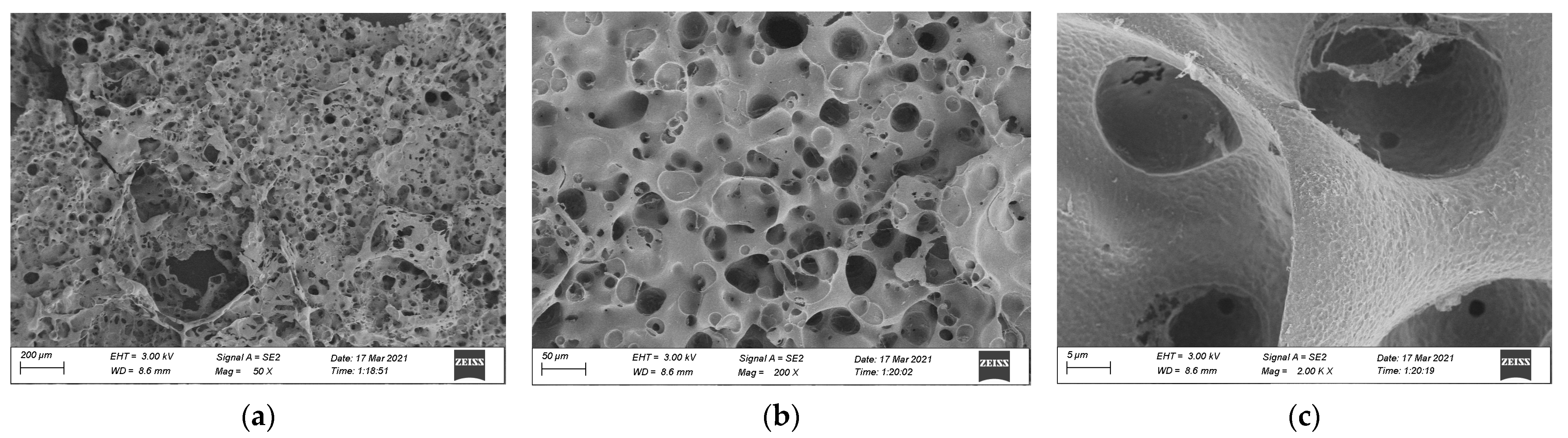 Materials 15 04973 g015