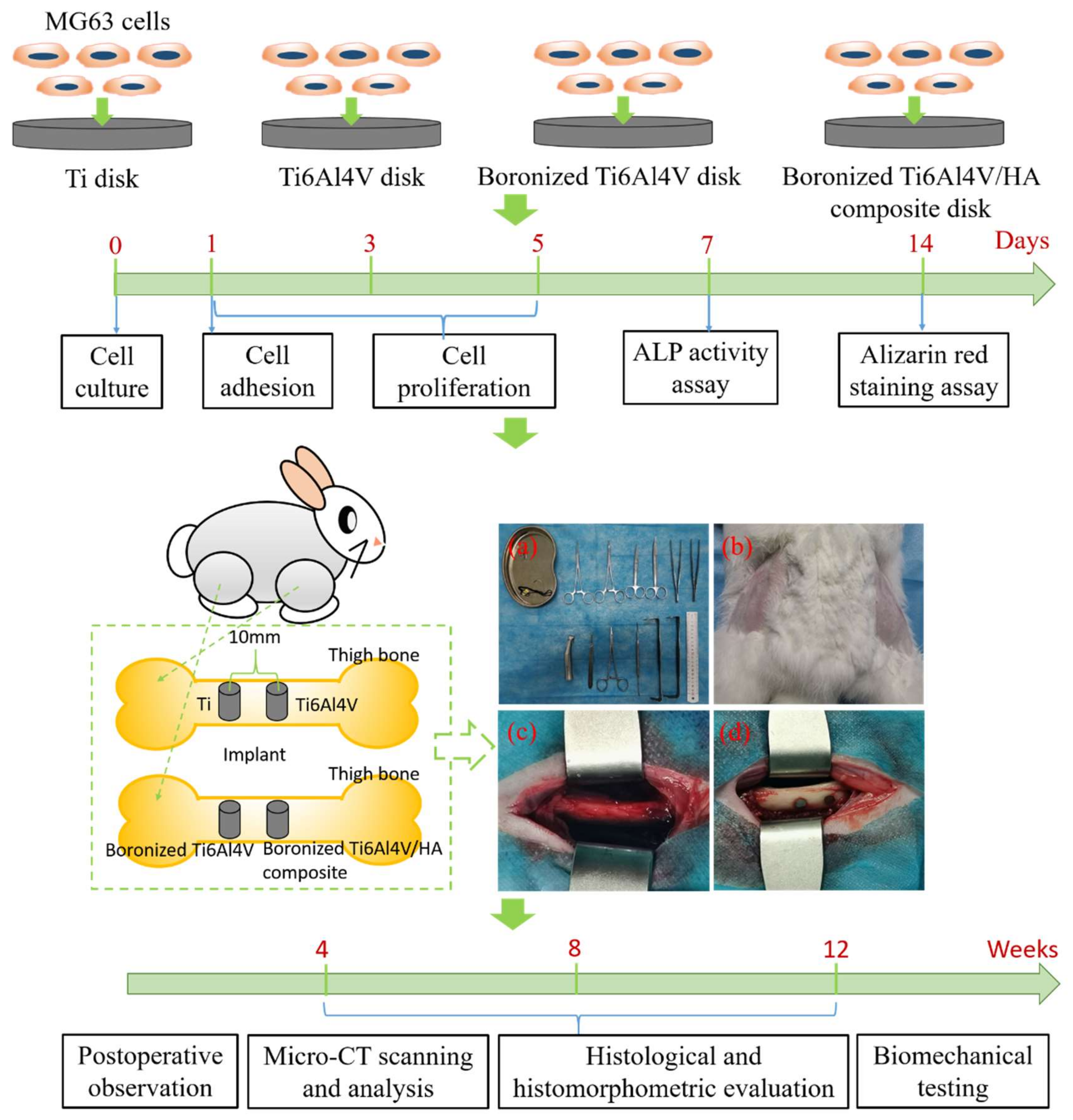 Materials 15 04985 g001