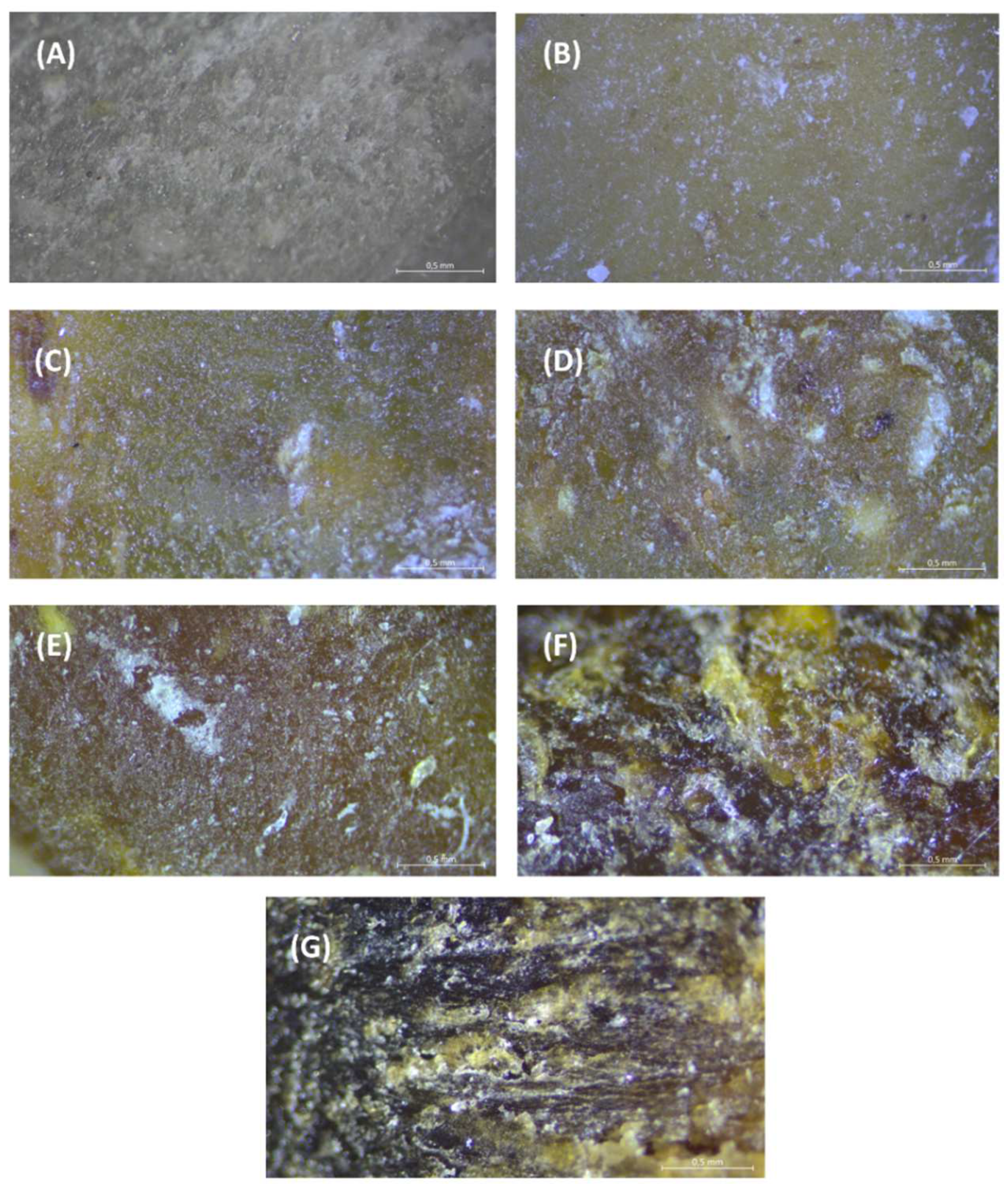 Materials 15 05061 g002