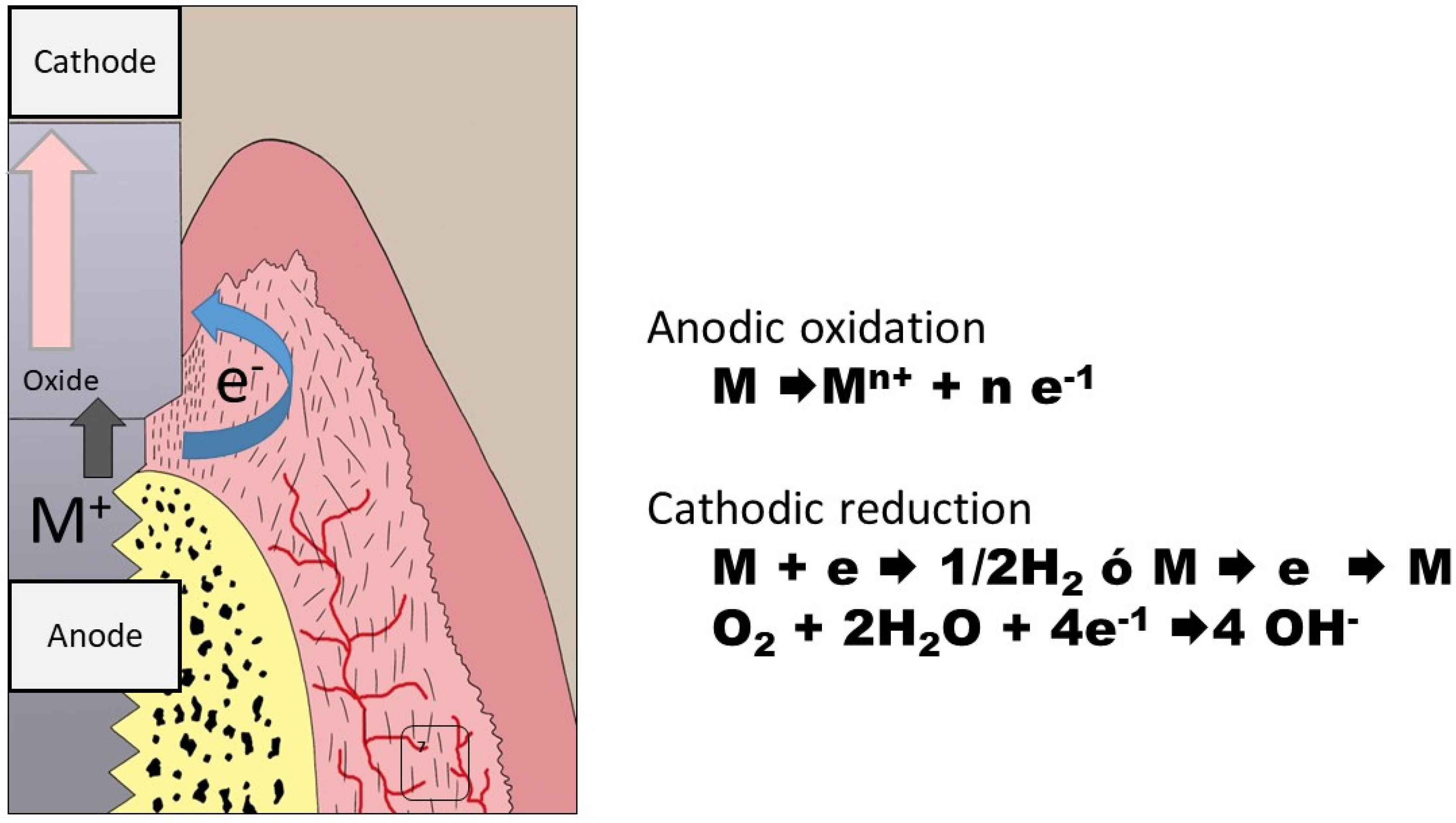 Materials 15 05100 g001