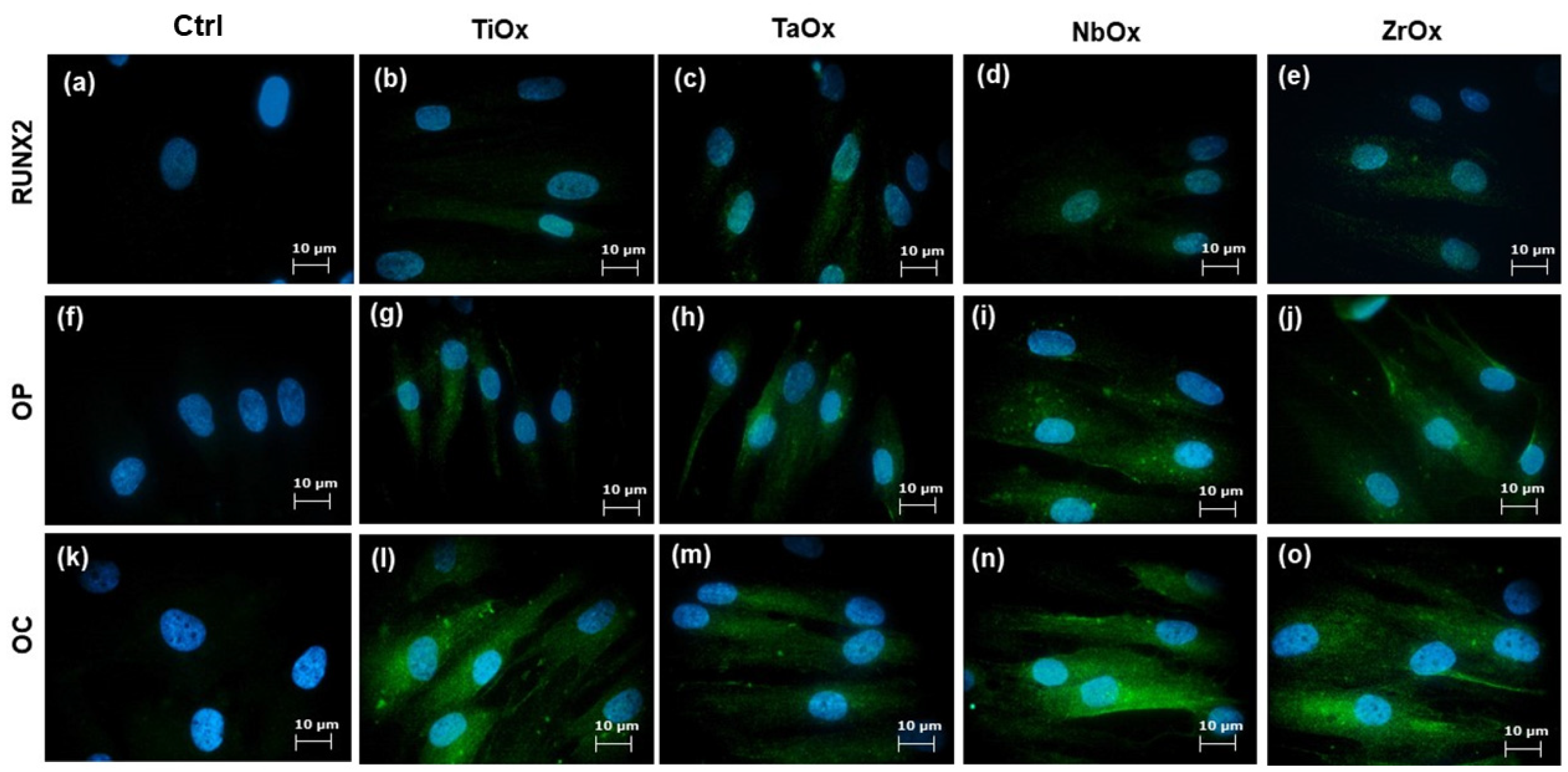 Materials 15 05240 g009