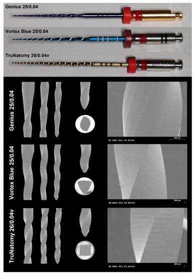 https://www.mdpi.com/materials/materials-15-05288/article_deploy/html/images/materials-15-05288-g001-550.jpg