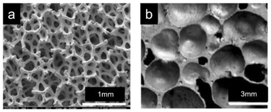 Material Highlight: Green Cell Foam