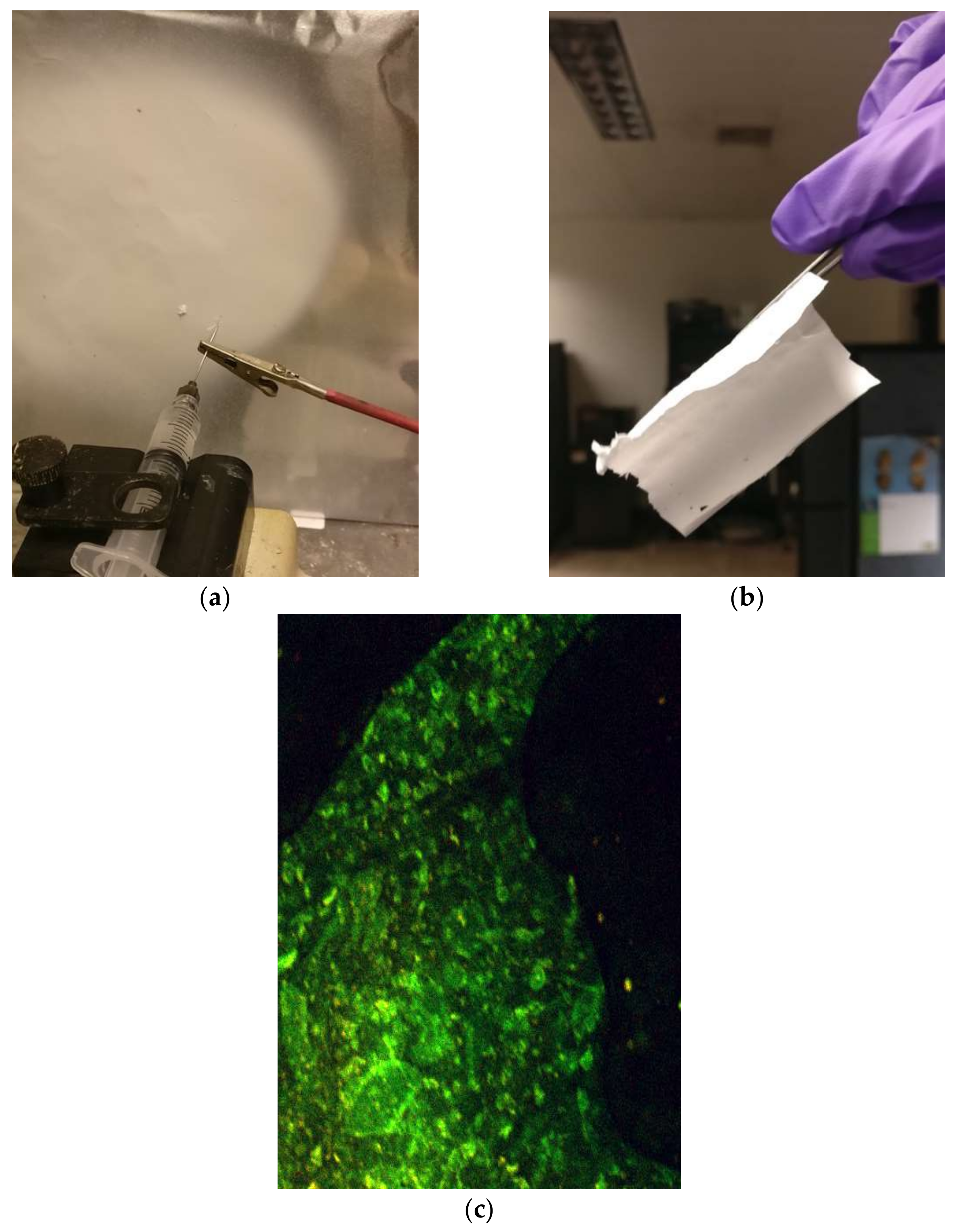 Materials 15 05355 g004