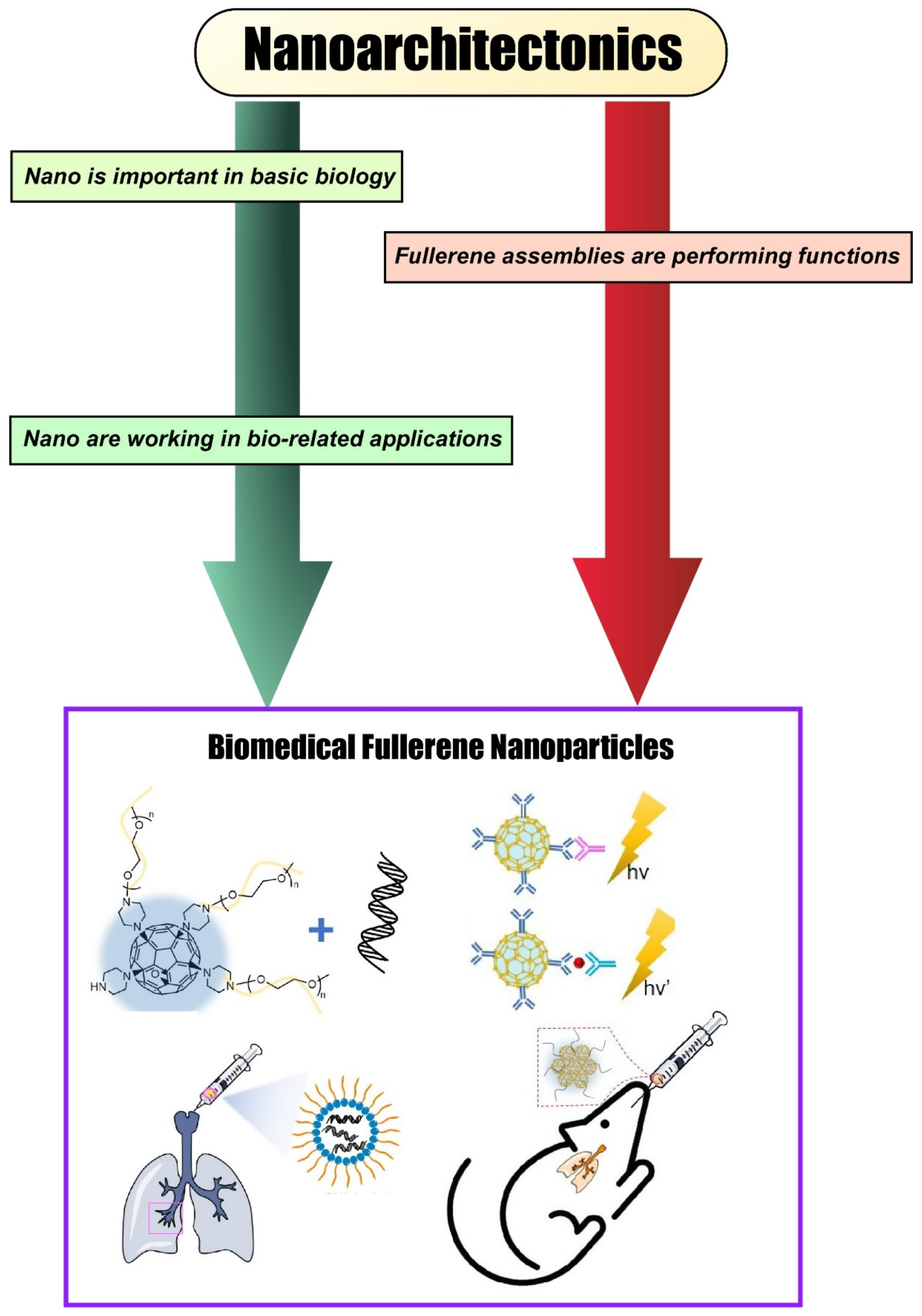 Materials 15 05404 g002
