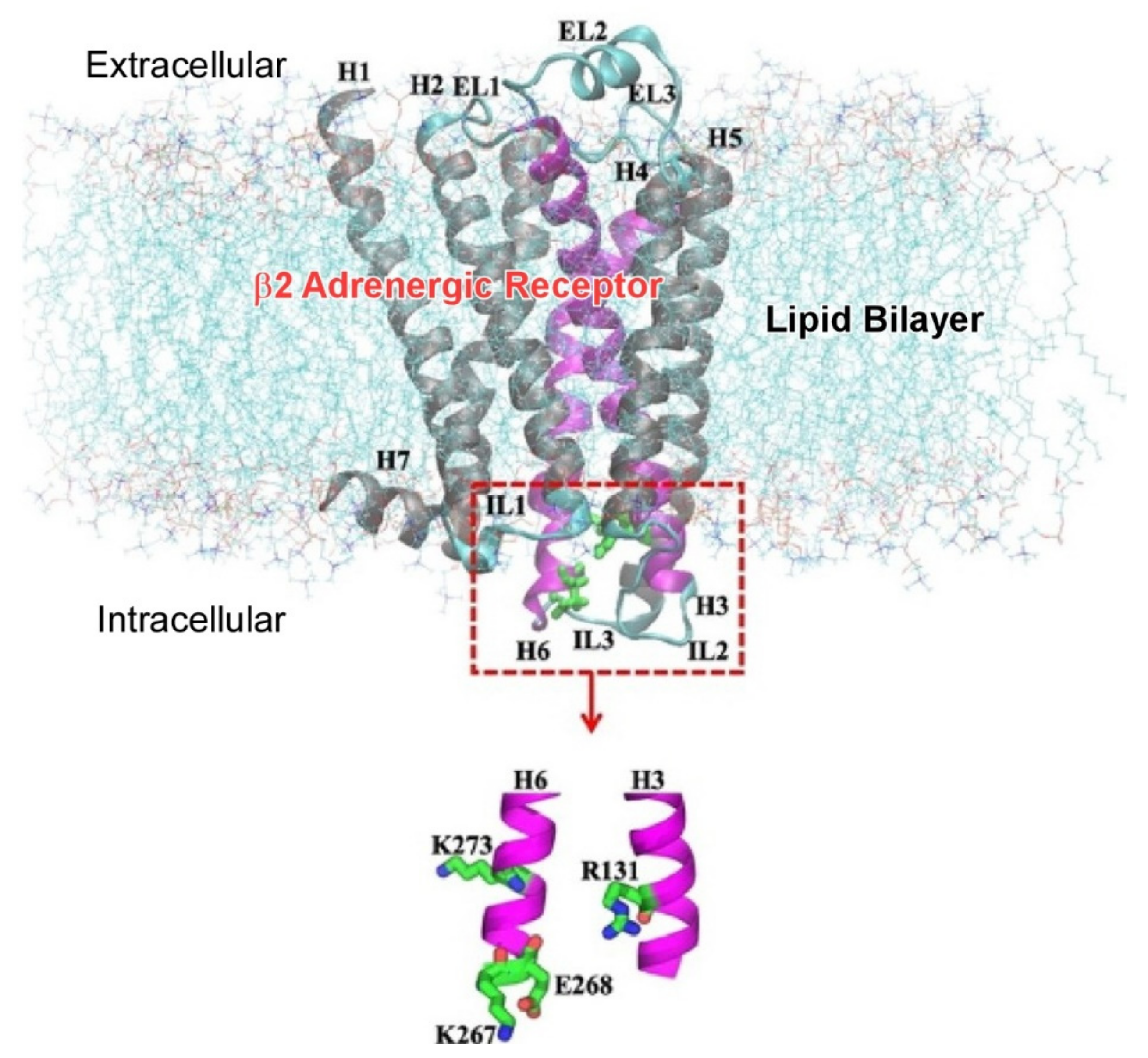 Materials 15 05404 g003