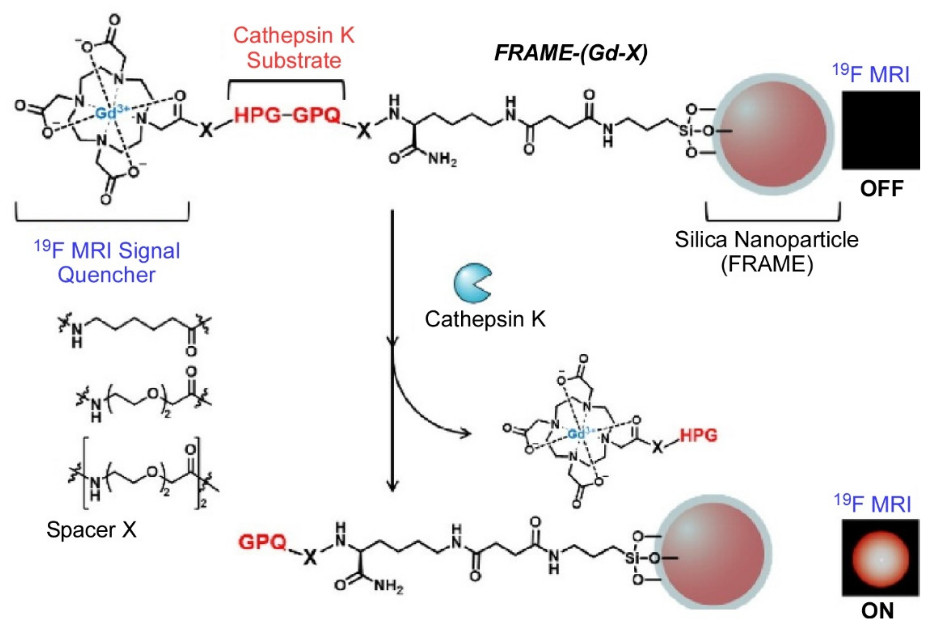 Materials 15 05404 g005