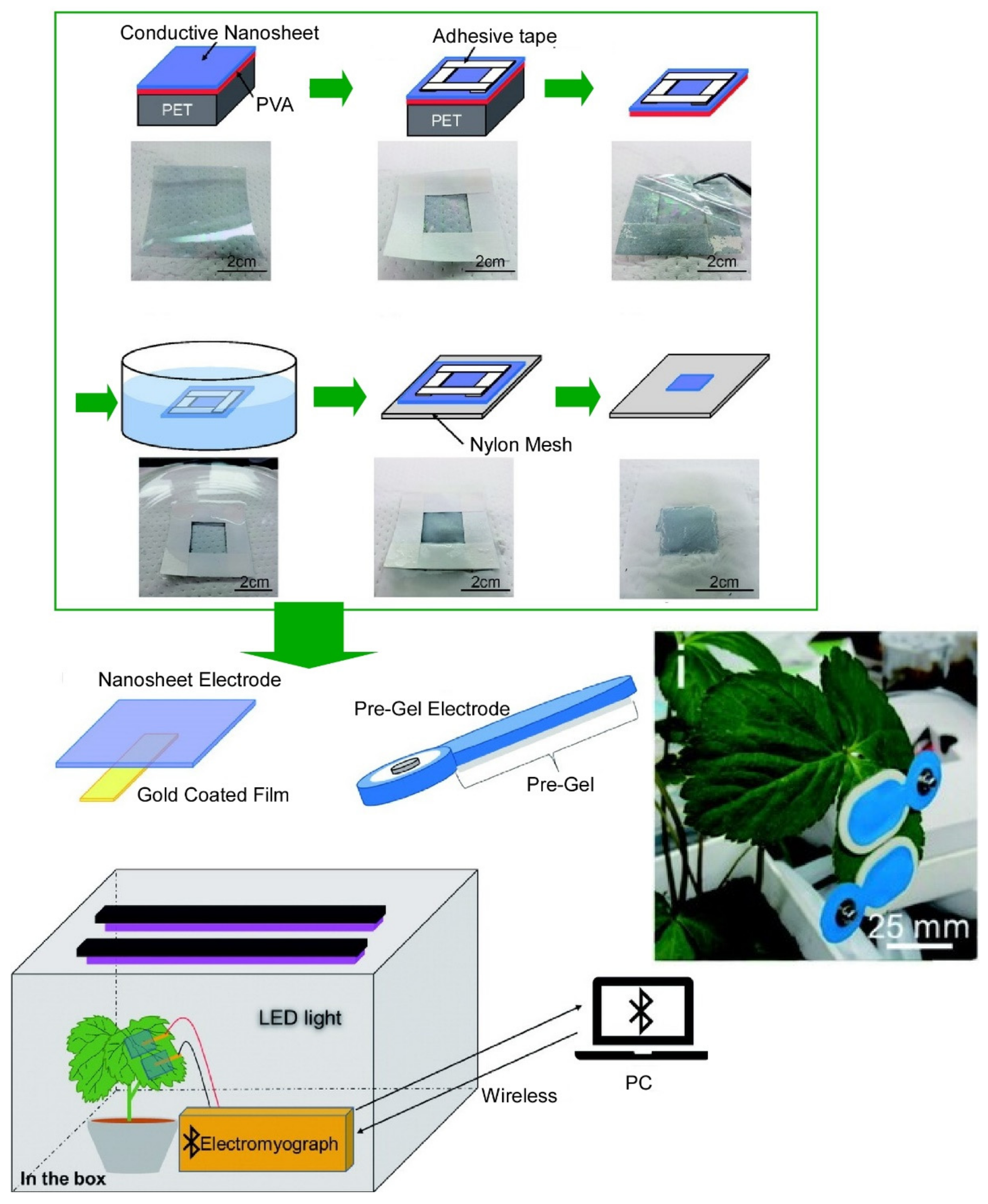 Materials 15 05404 g006