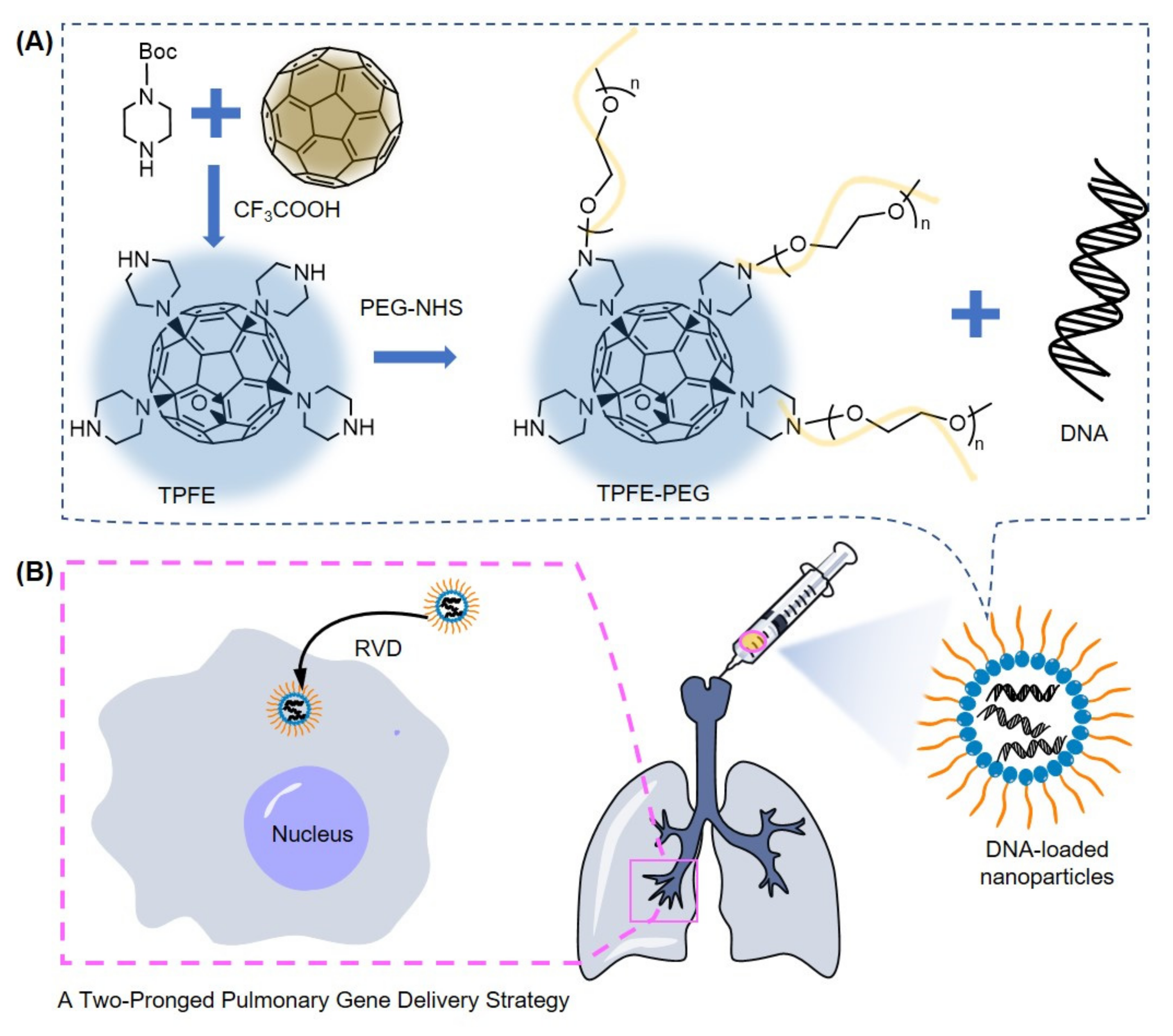 Materials 15 05404 g017