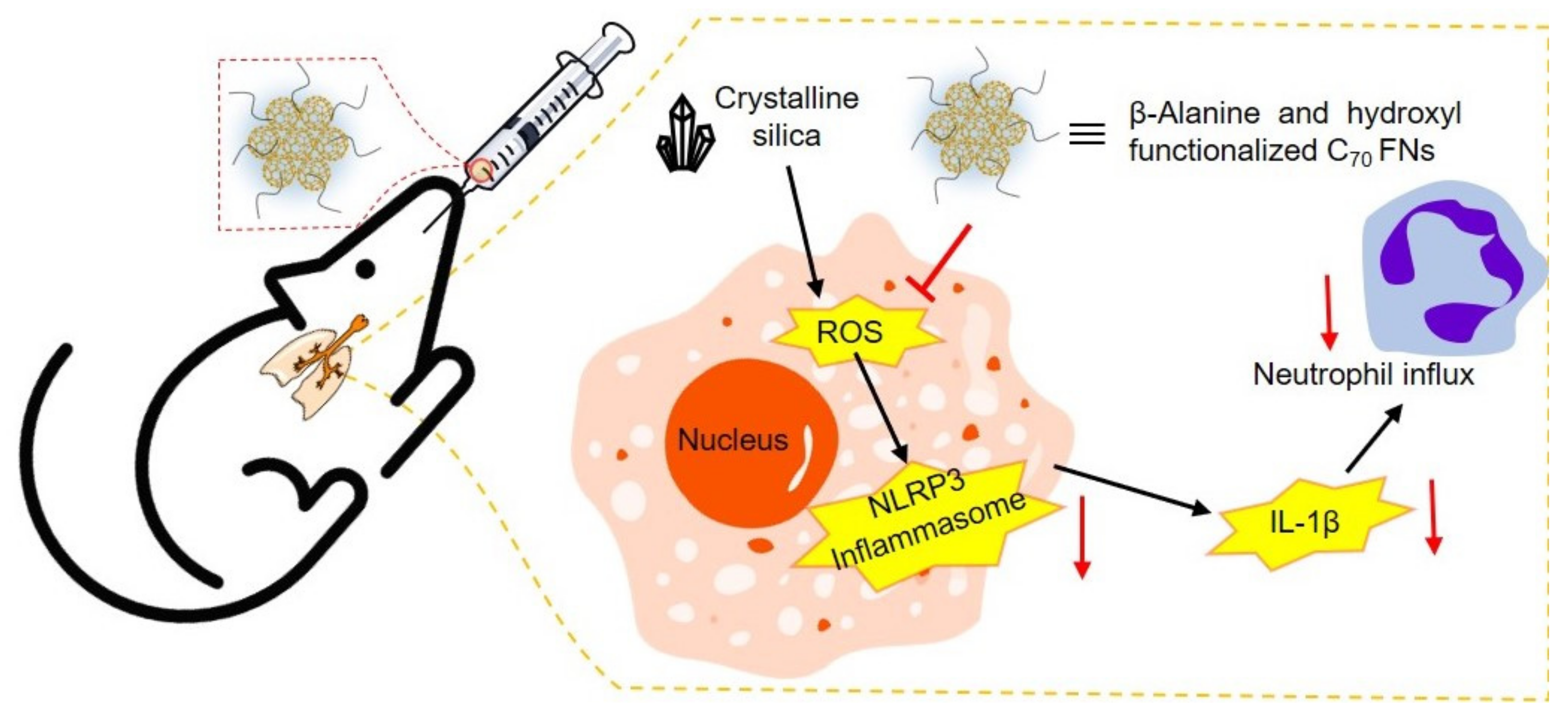 Materials 15 05404 g018