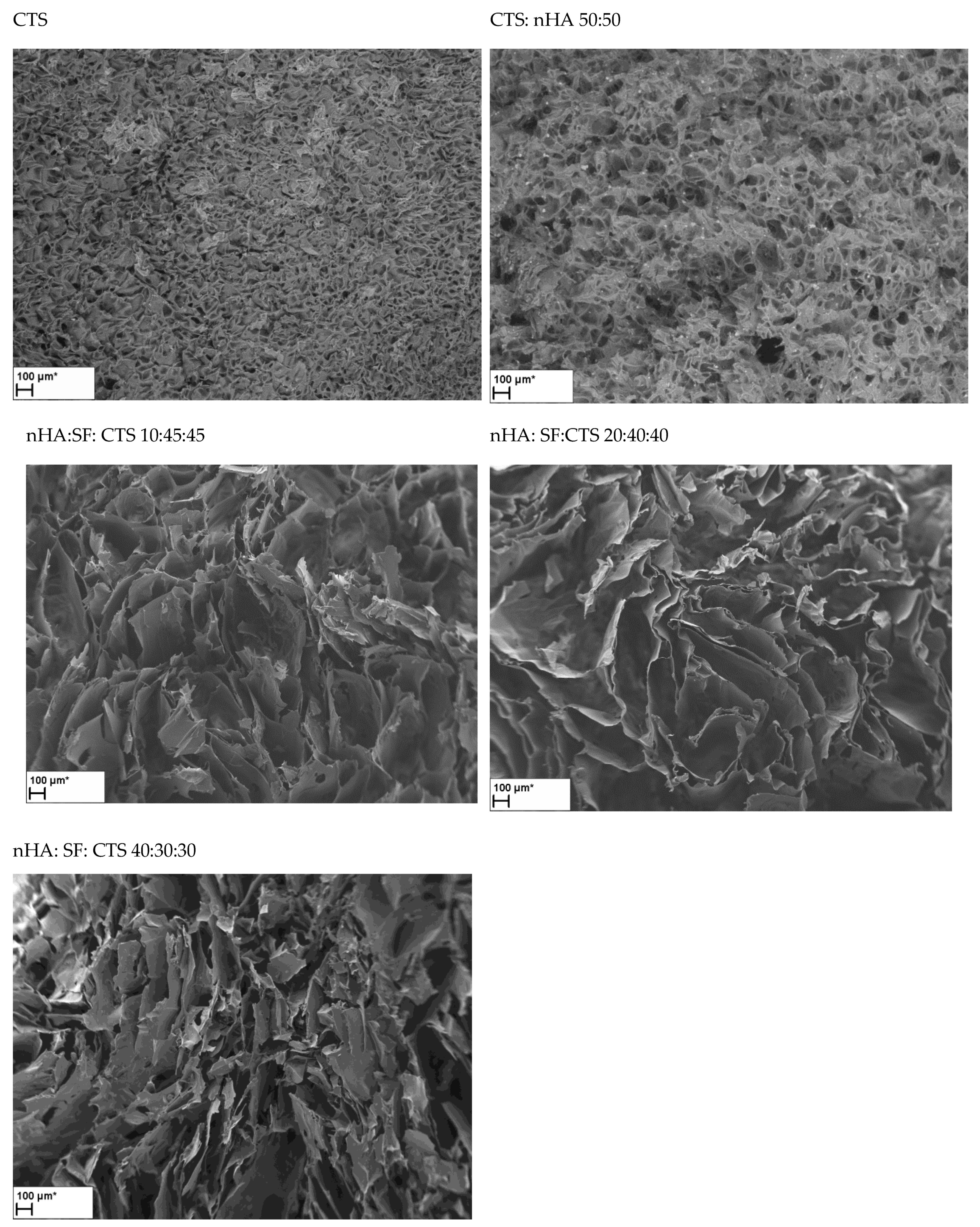 Materials 15 05444 g003b