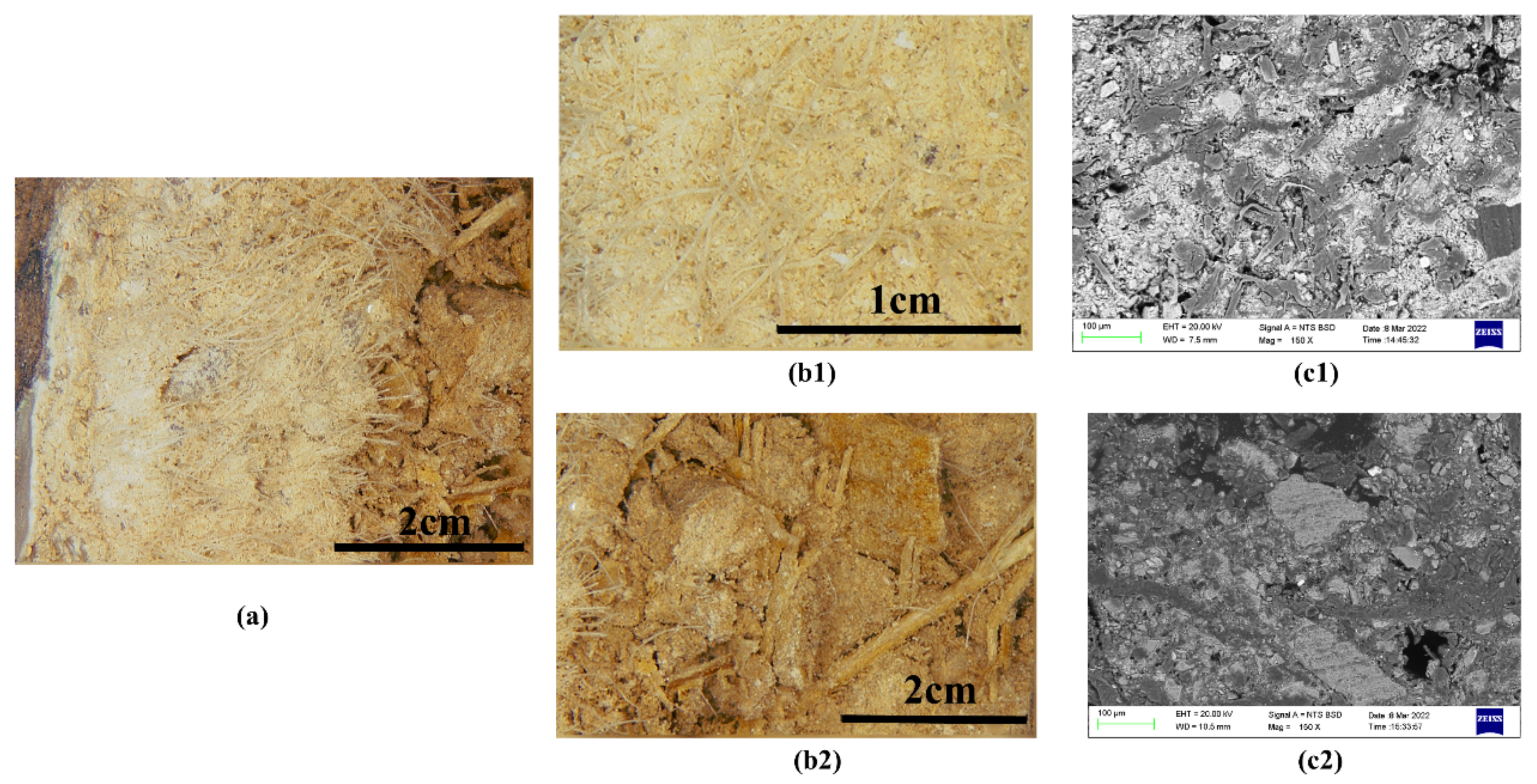 Materials 15 05470 g004 Materials 15 05470 g004