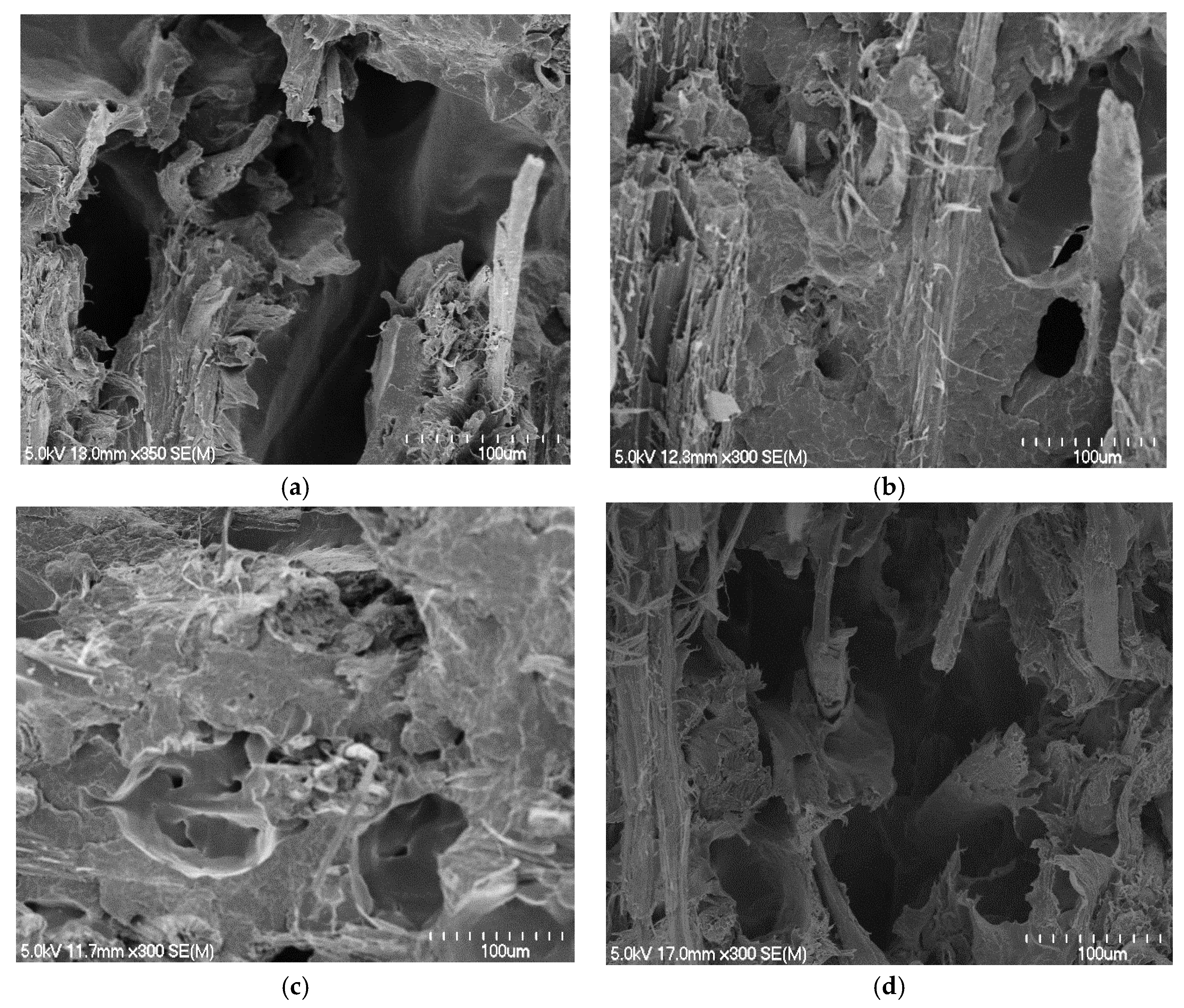 Materials 15 05587 g009