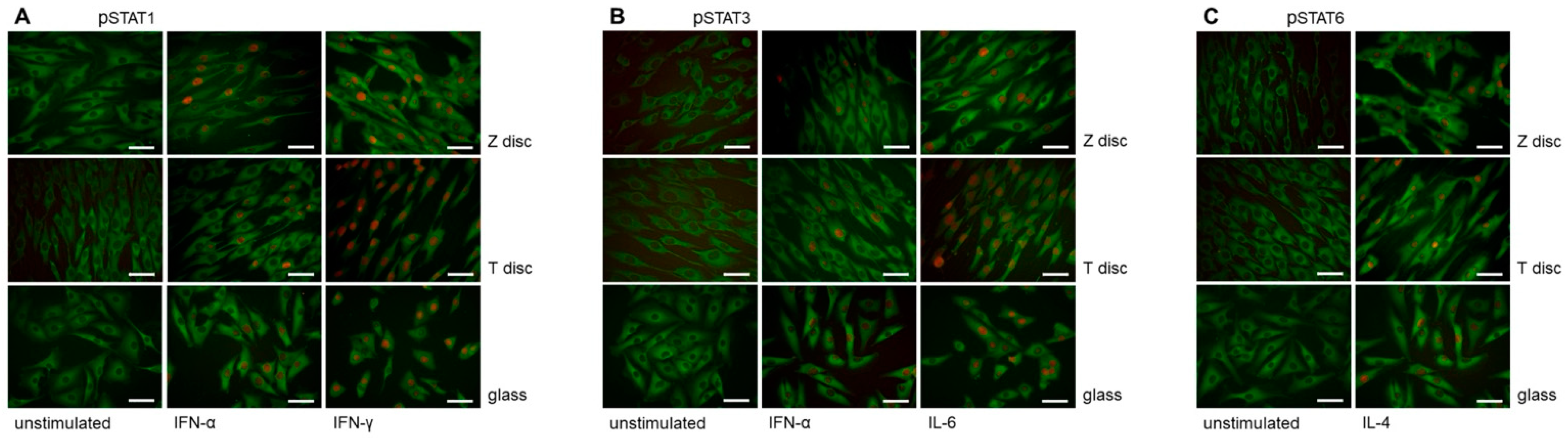 Materials 15 05621 g002