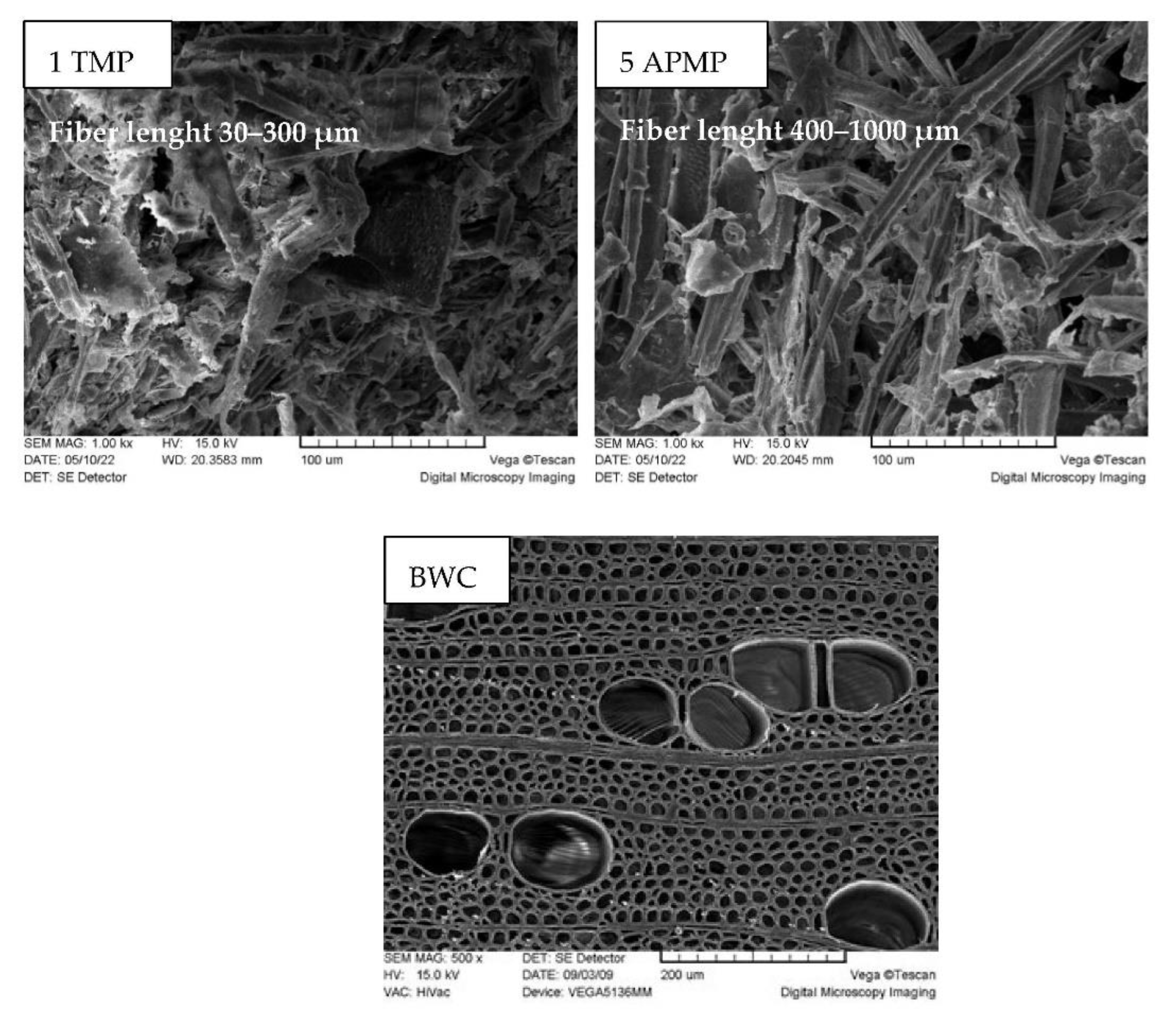Materials 15 05872 g006