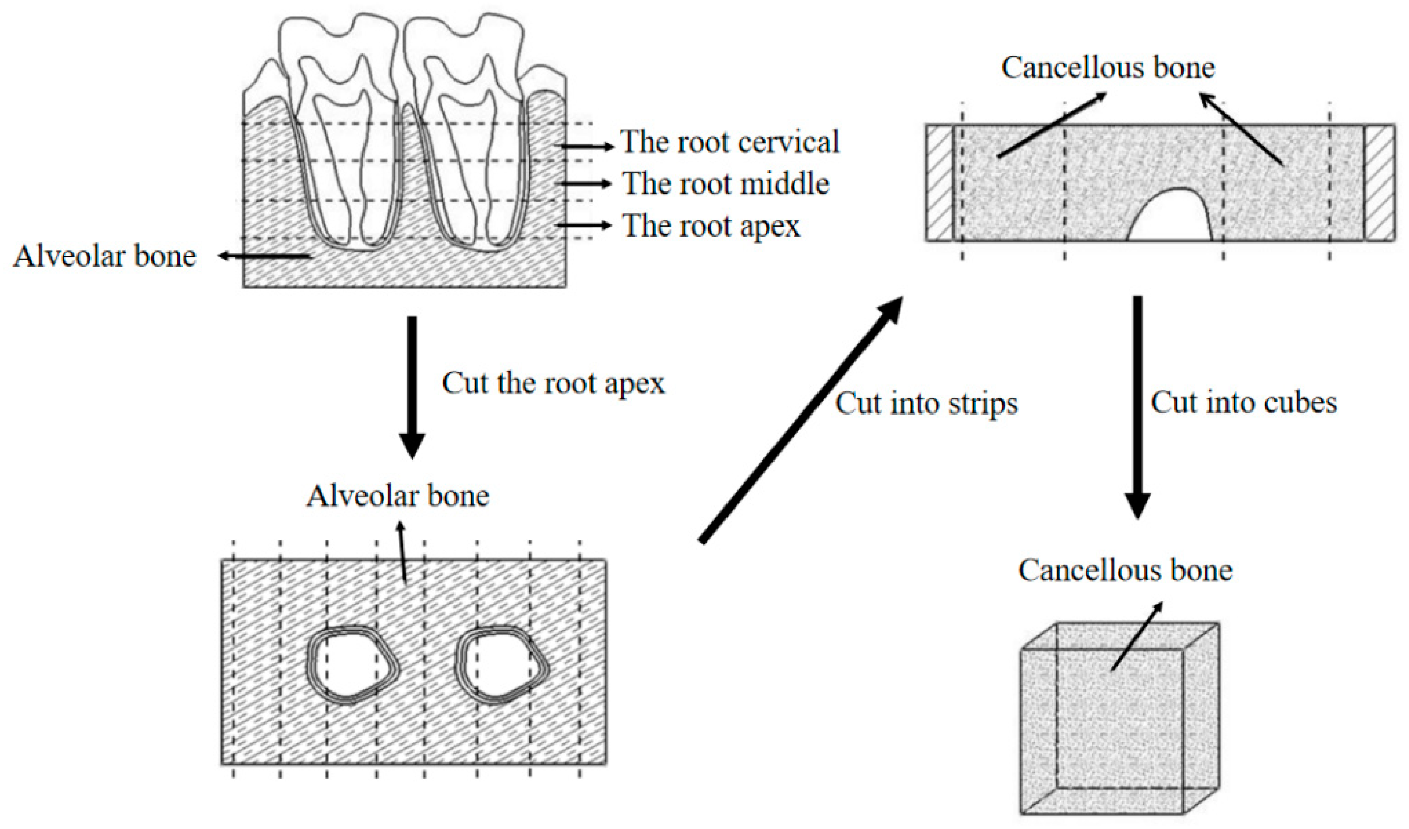 Materials 15 05912 g001 Materials 15 05912 g001