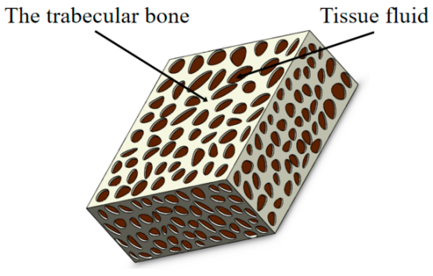 Materials 15 05912 g005 Materials 15 05912 g005