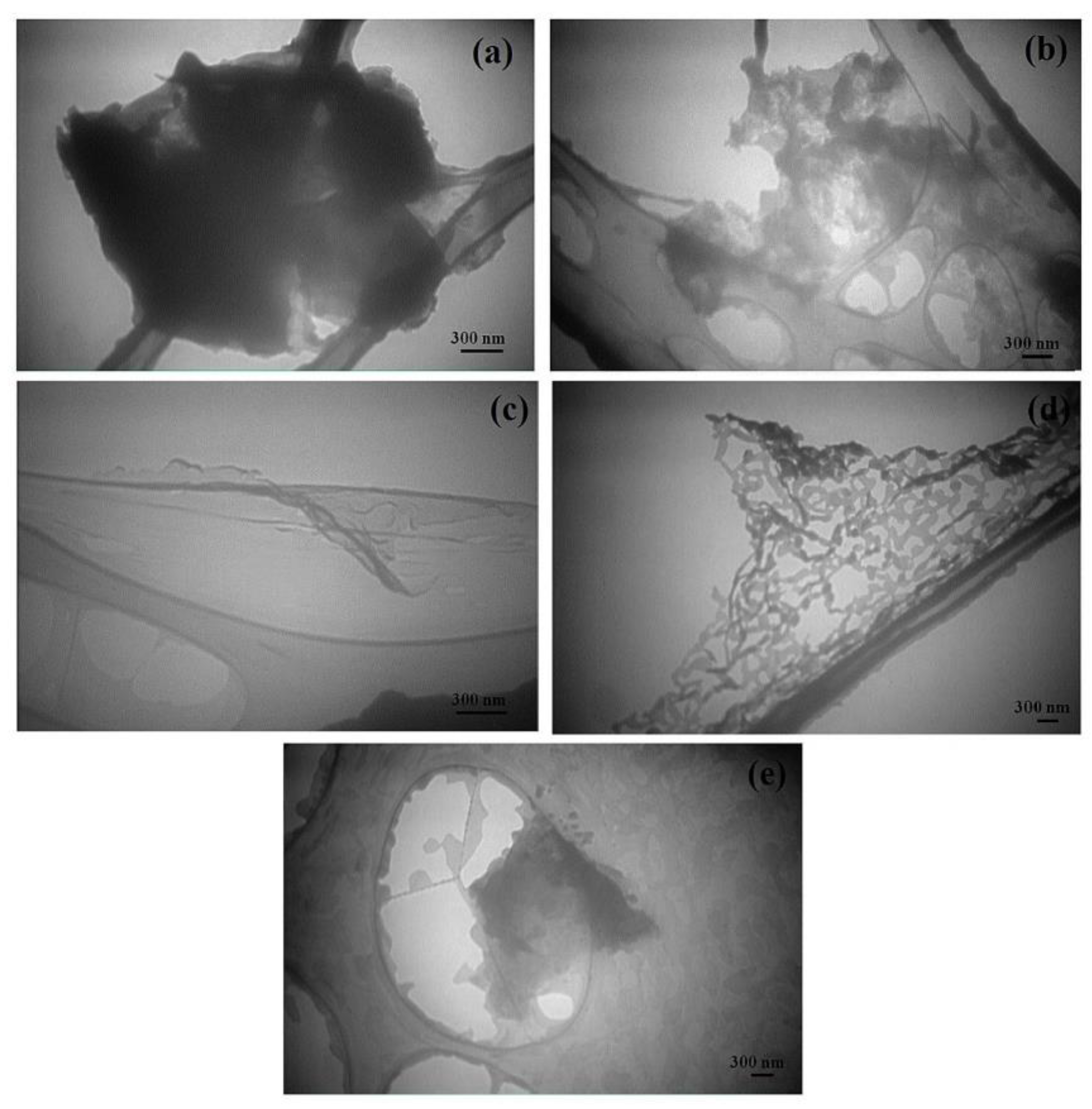 Materials 15 05925 g018