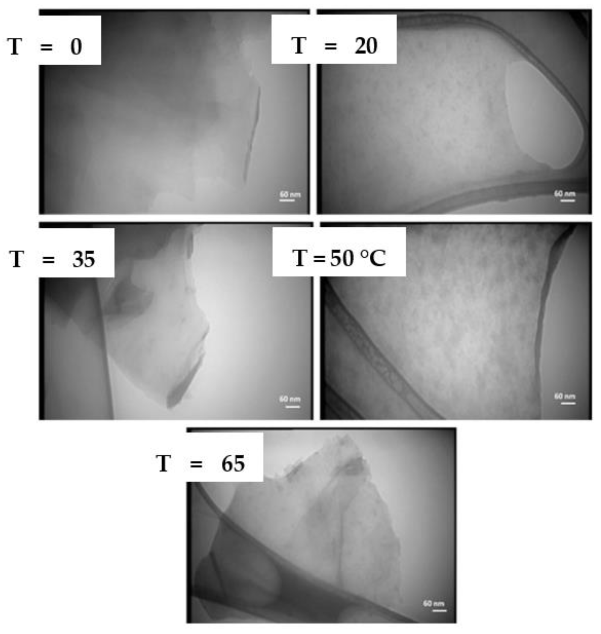 Materials 15 05925 g019