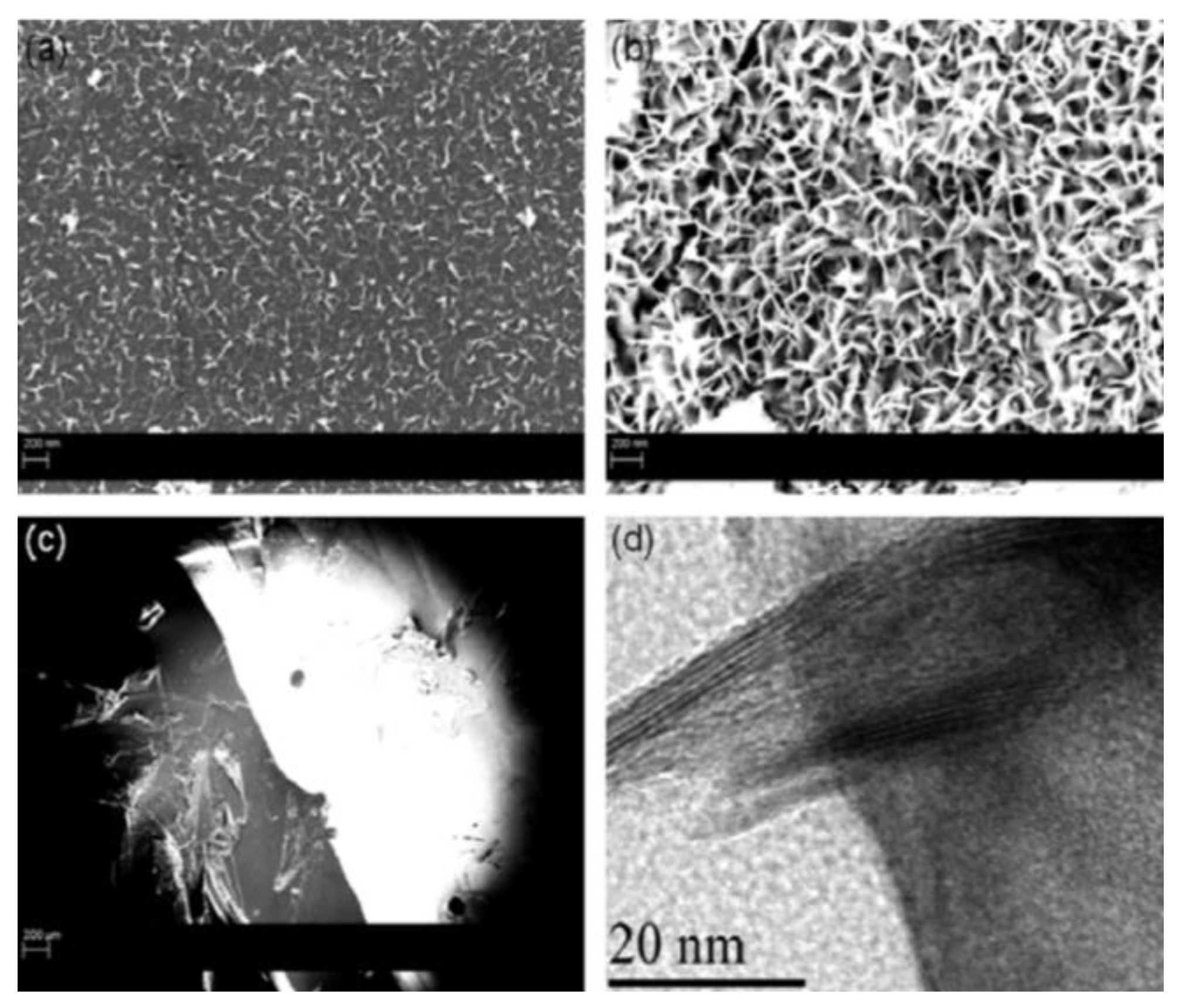 Materials 15 05925 g025