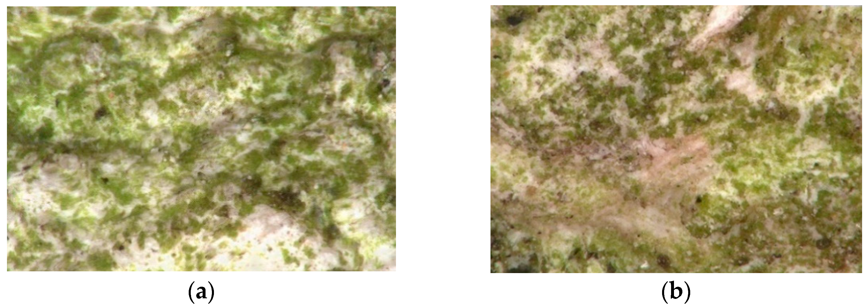 Materials 15 05963 g002