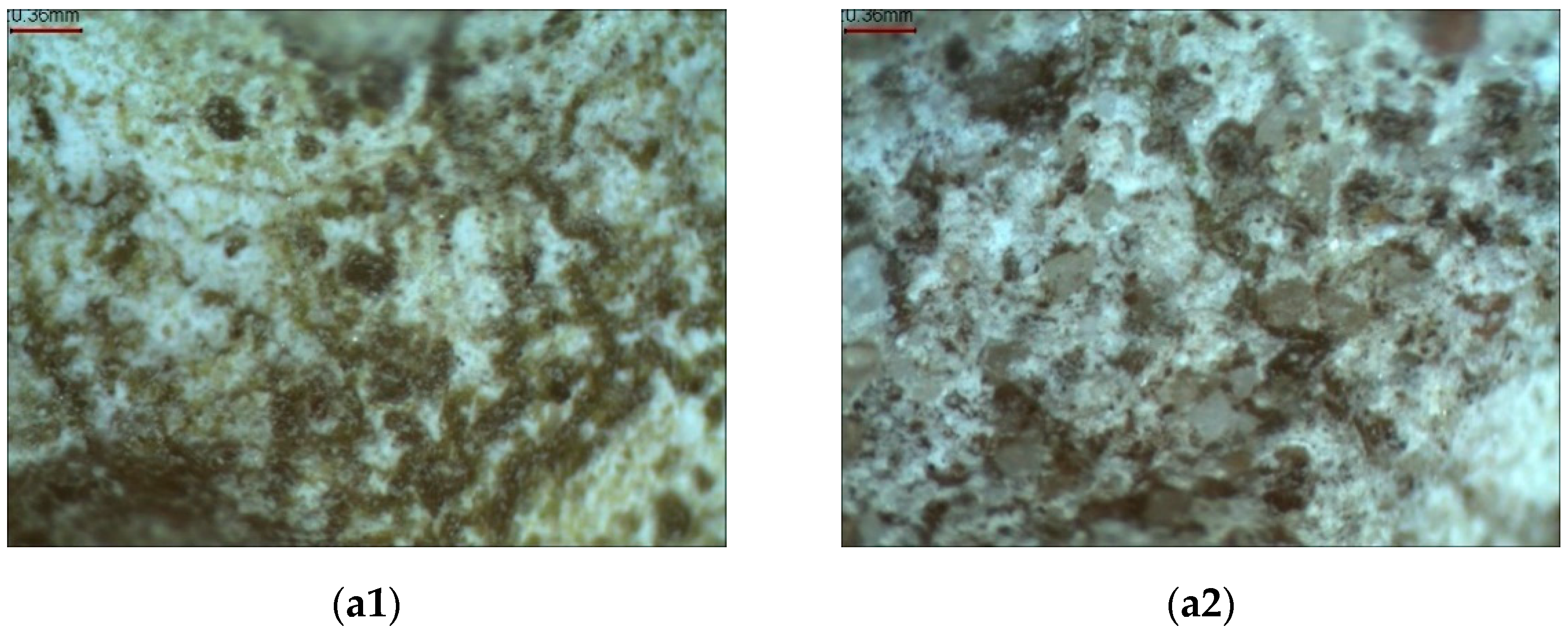 Materials 15 05963 g010a