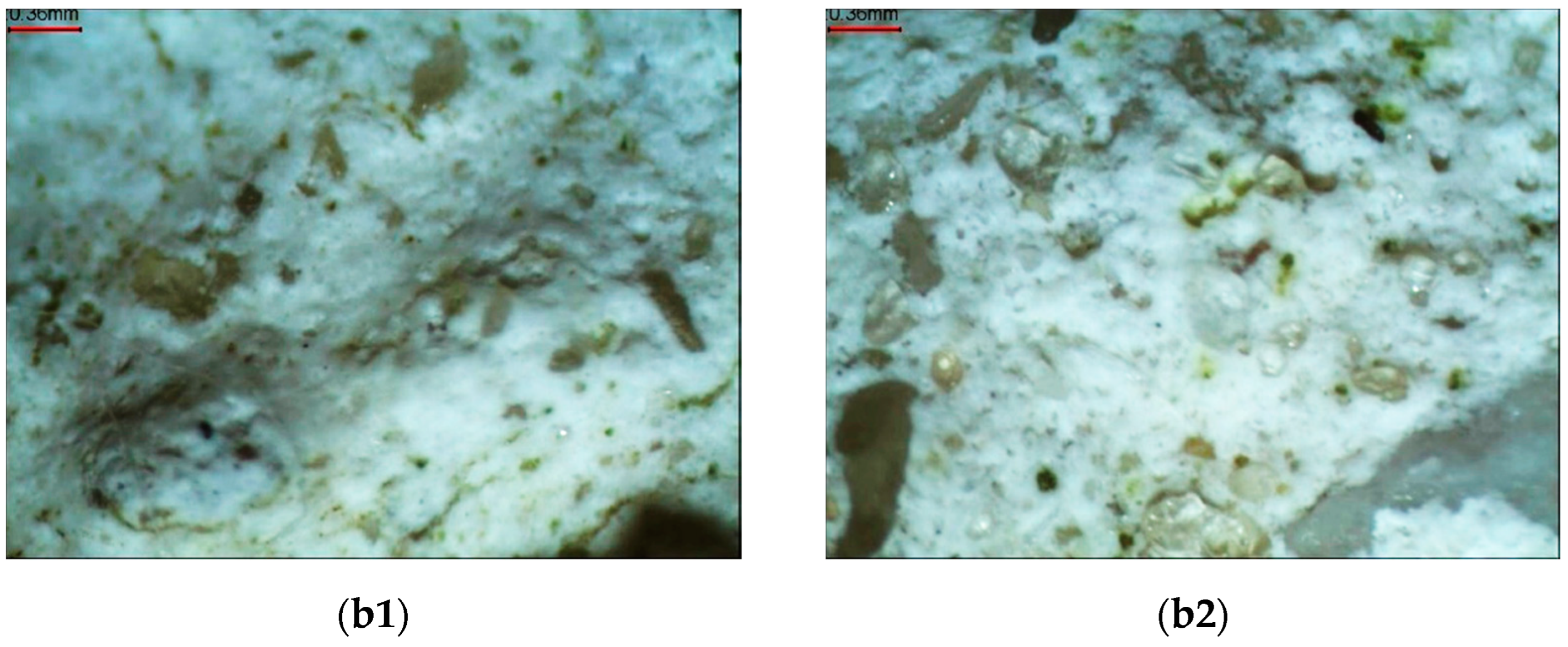 Materials 15 05963 g010b