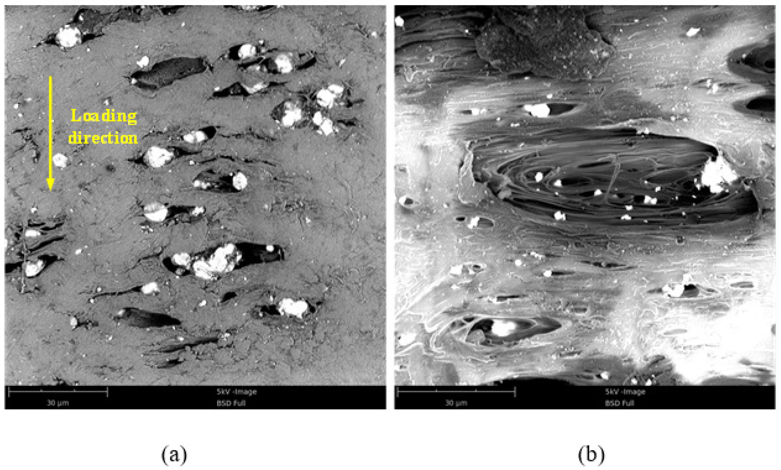 Materials 15 05975 g008