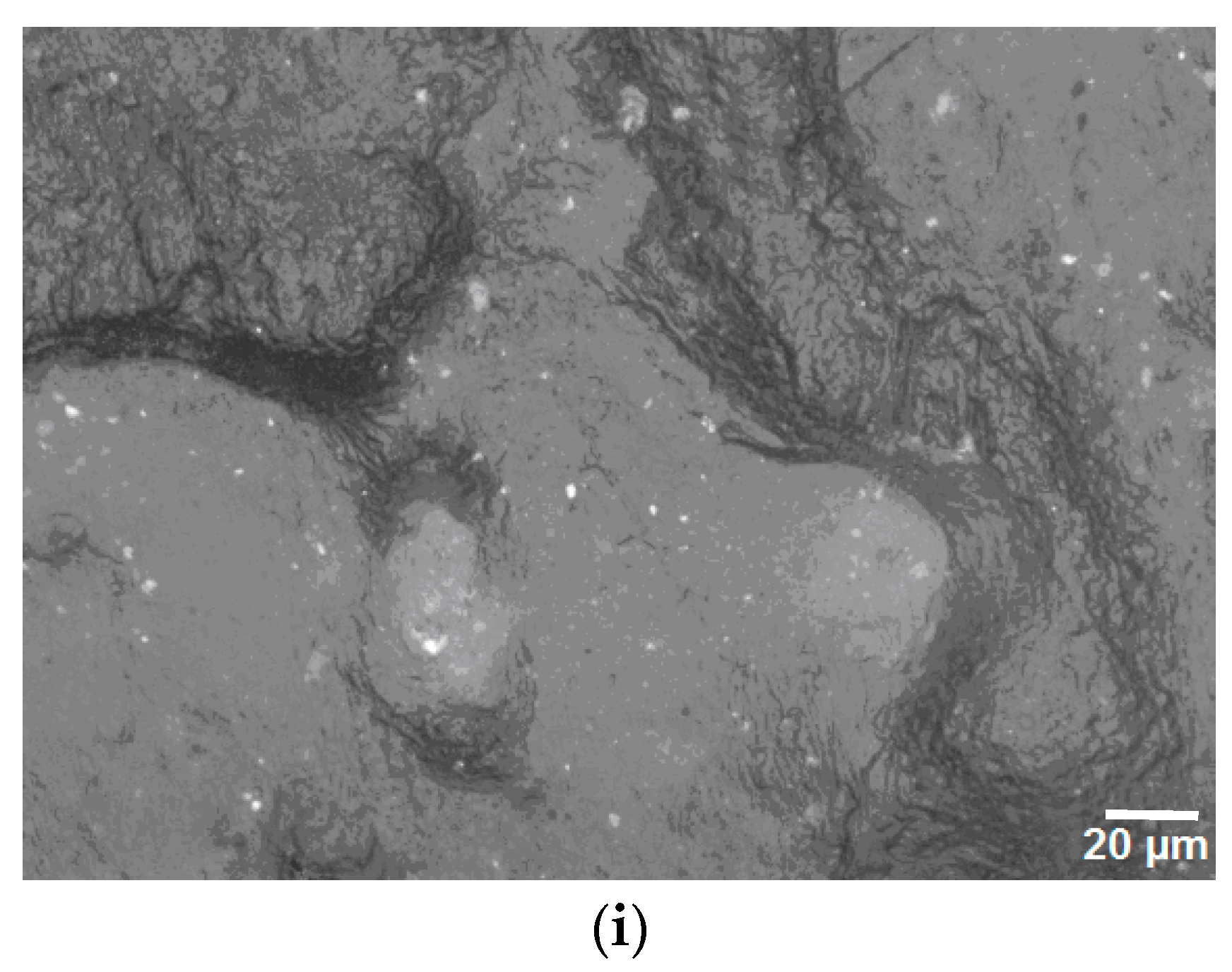 Materials 15 05978 g005b