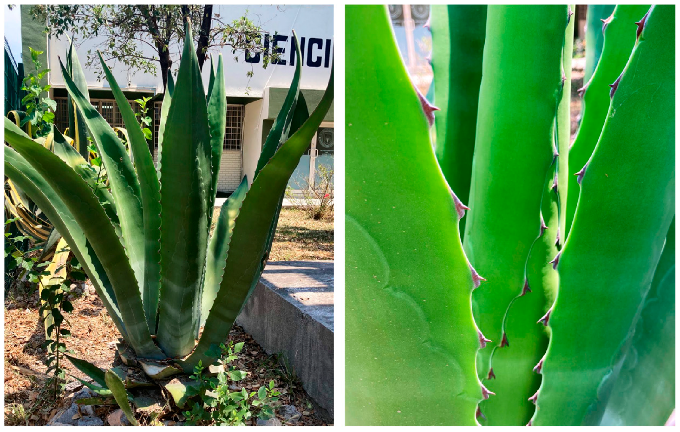 Materials 15 06000 g003