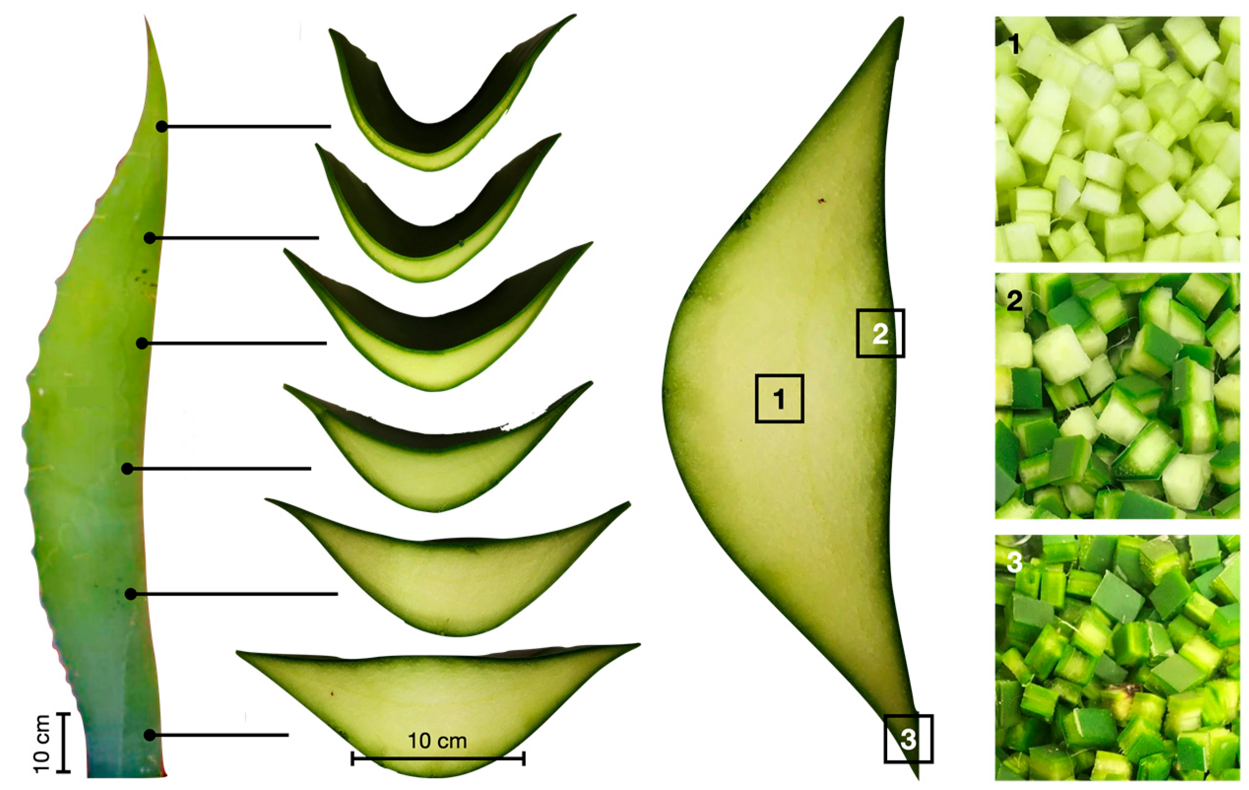 Materials 15 06000 g006