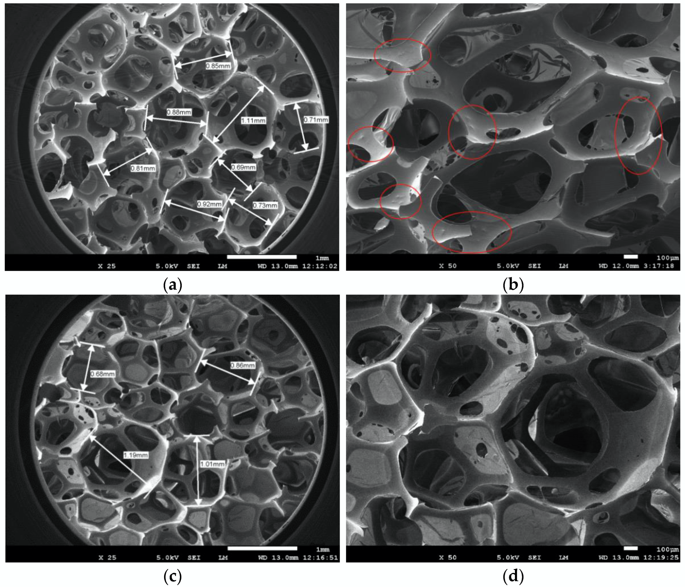 Materials 15 06047 g009