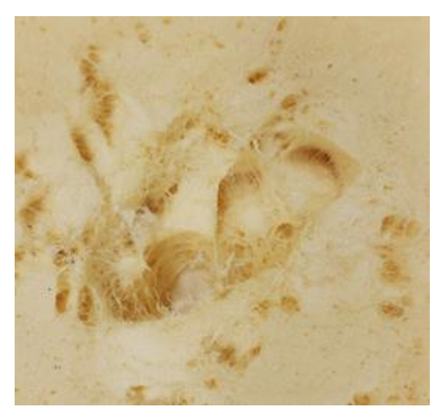 Materials 15 06087 g009