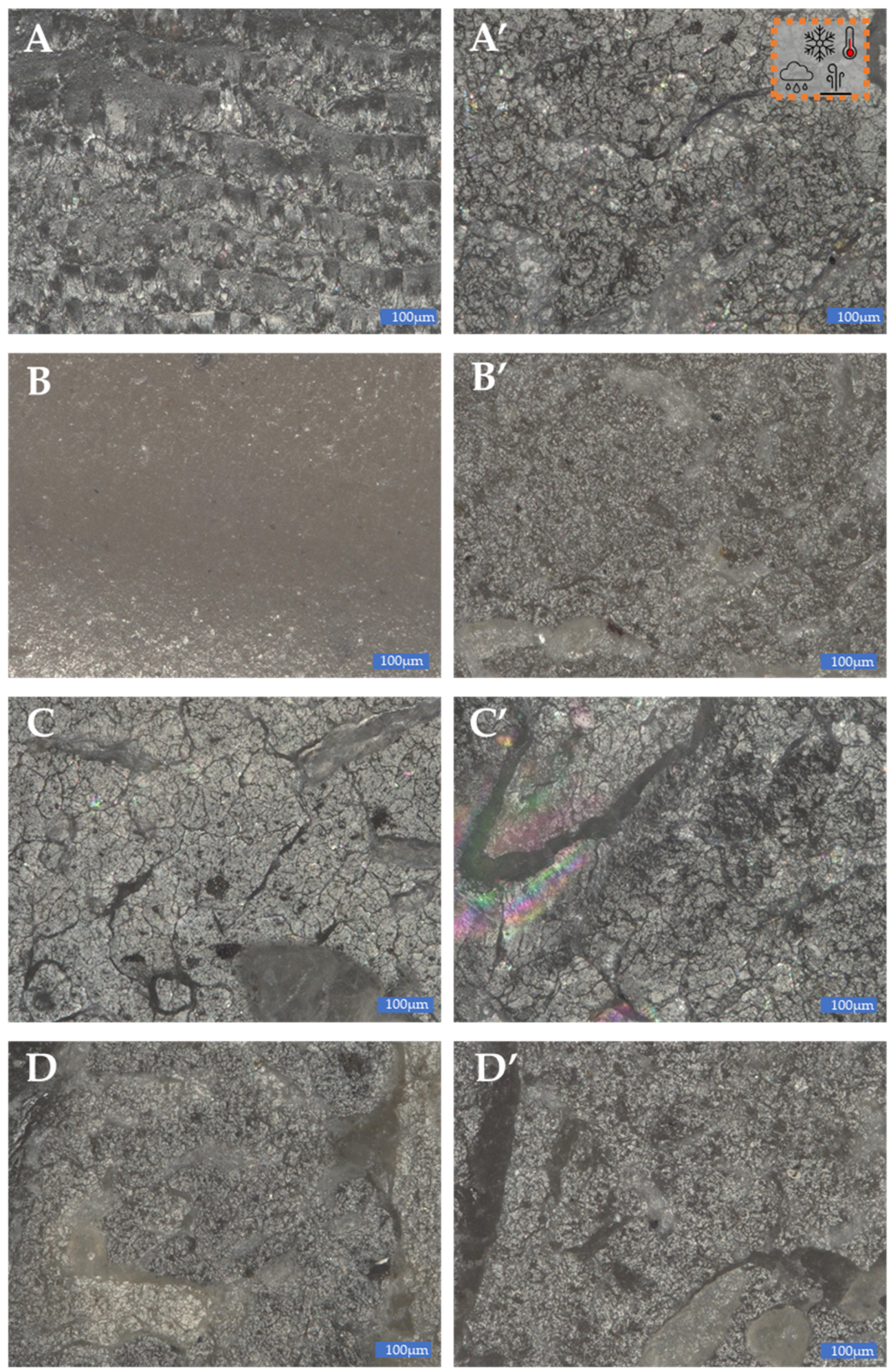 Materials 15 06106 g020