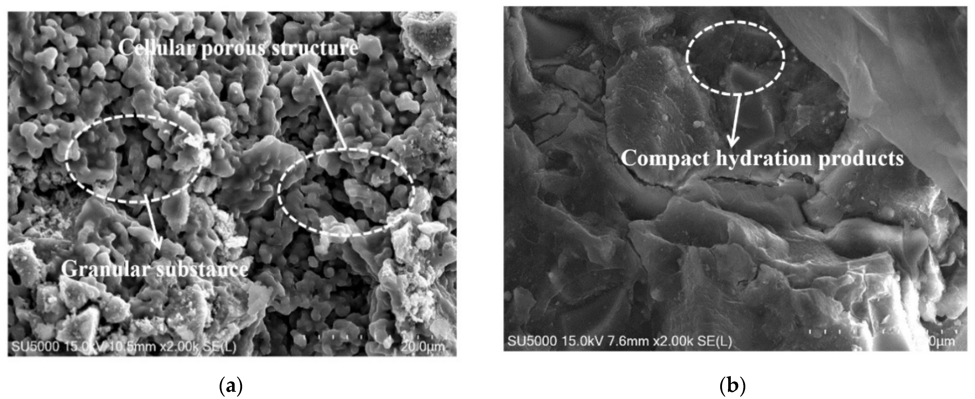 Materials 15 06128 g007a