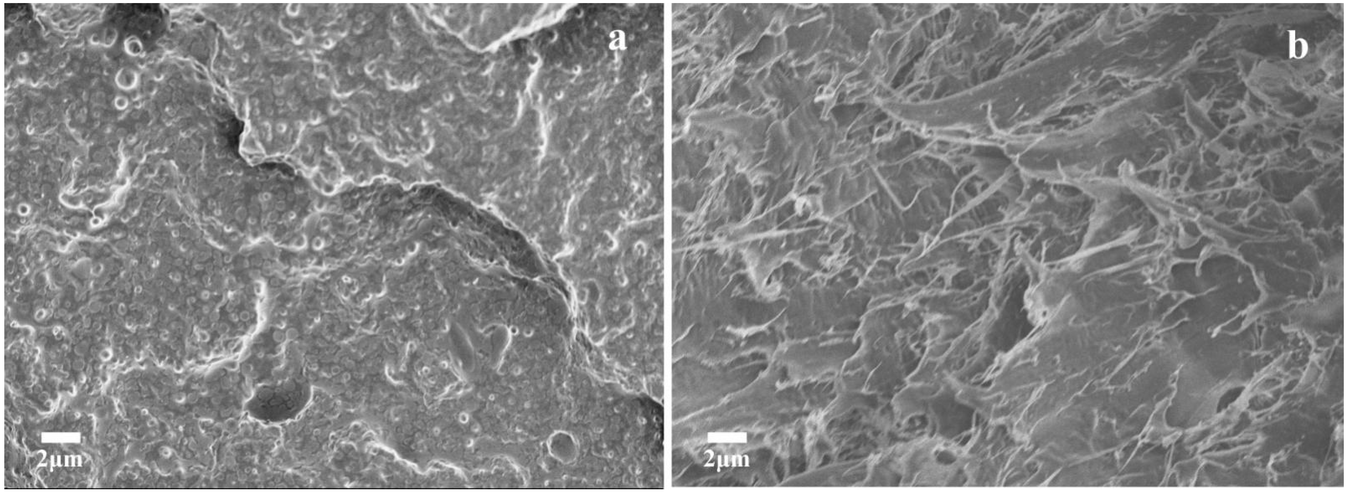 Materials 15 06179 g005