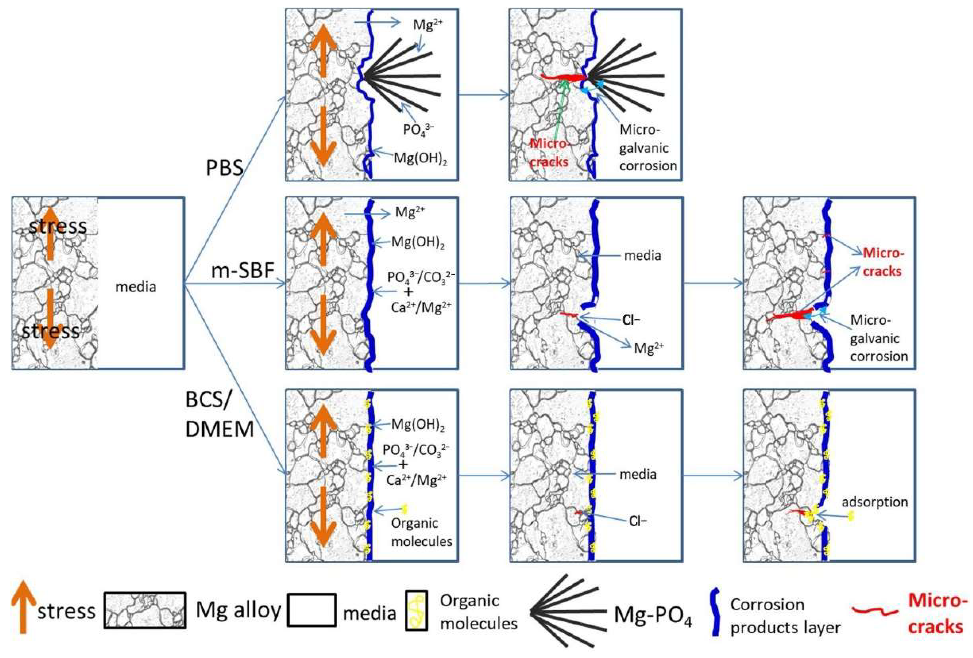 Materials 15 06197 g003