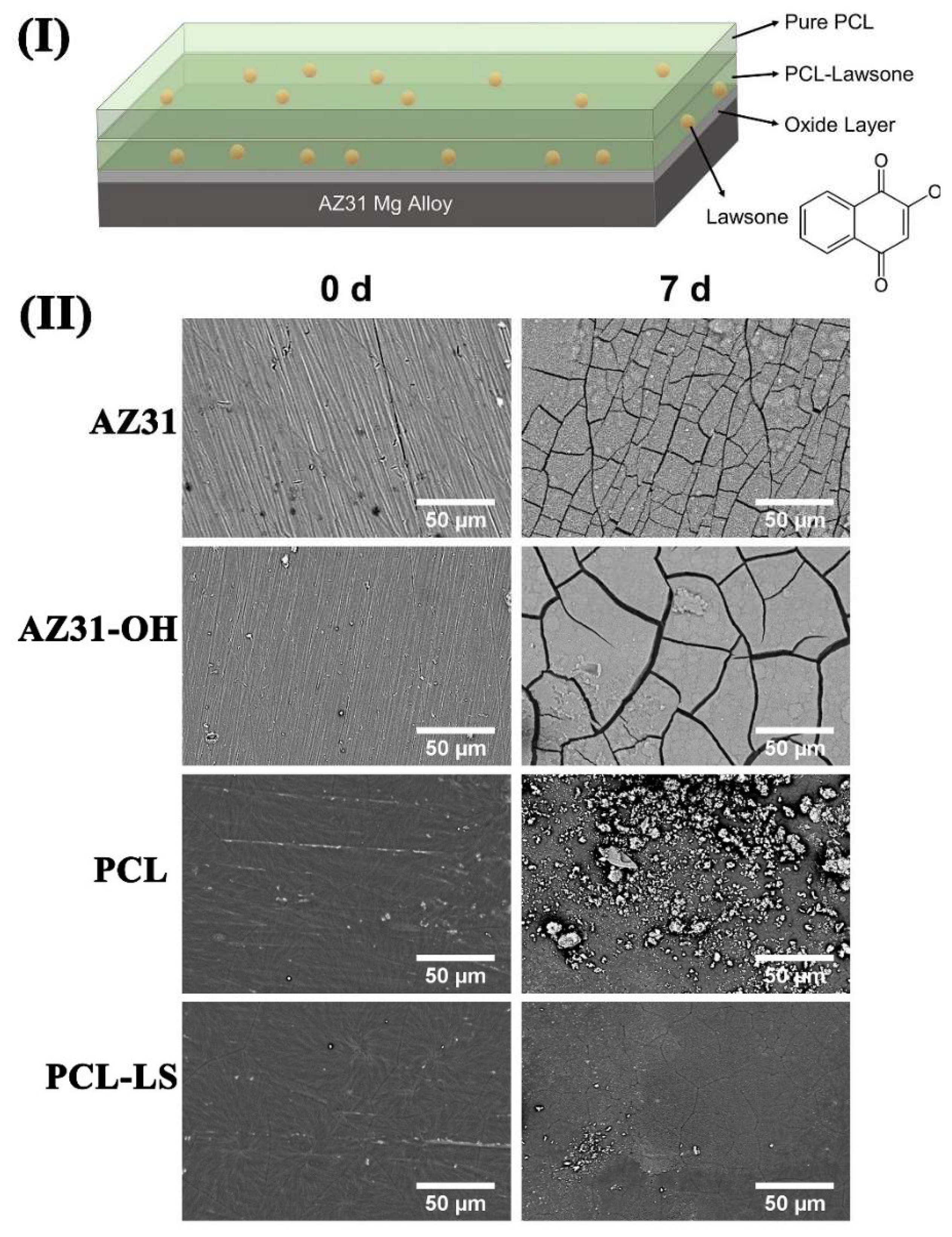 Materials 15 06197 g016
