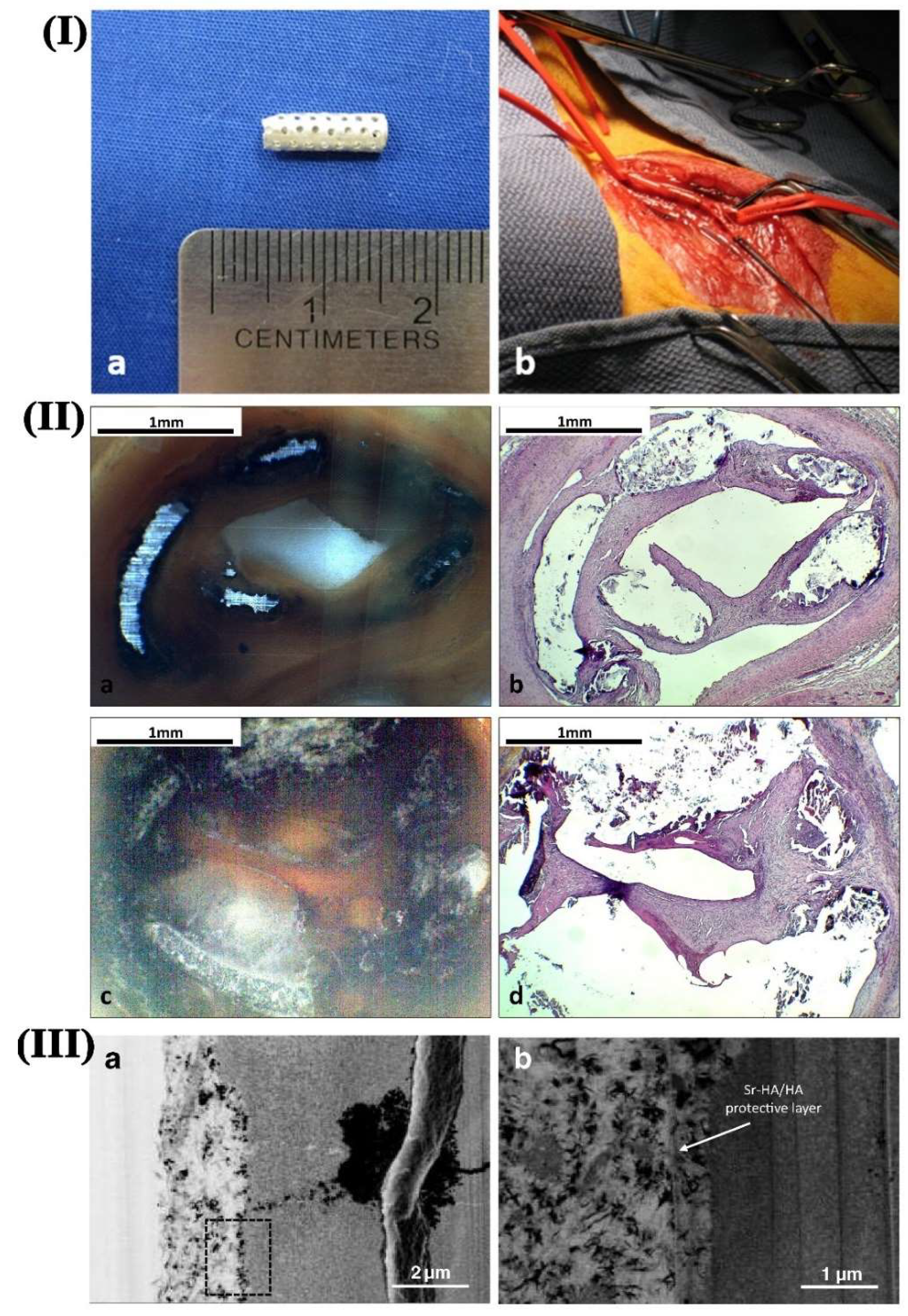 Materials 15 06197 g018