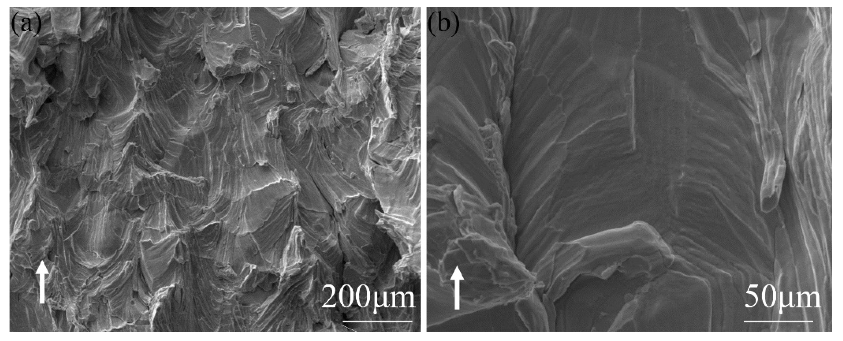 Materials 15 06230 g010