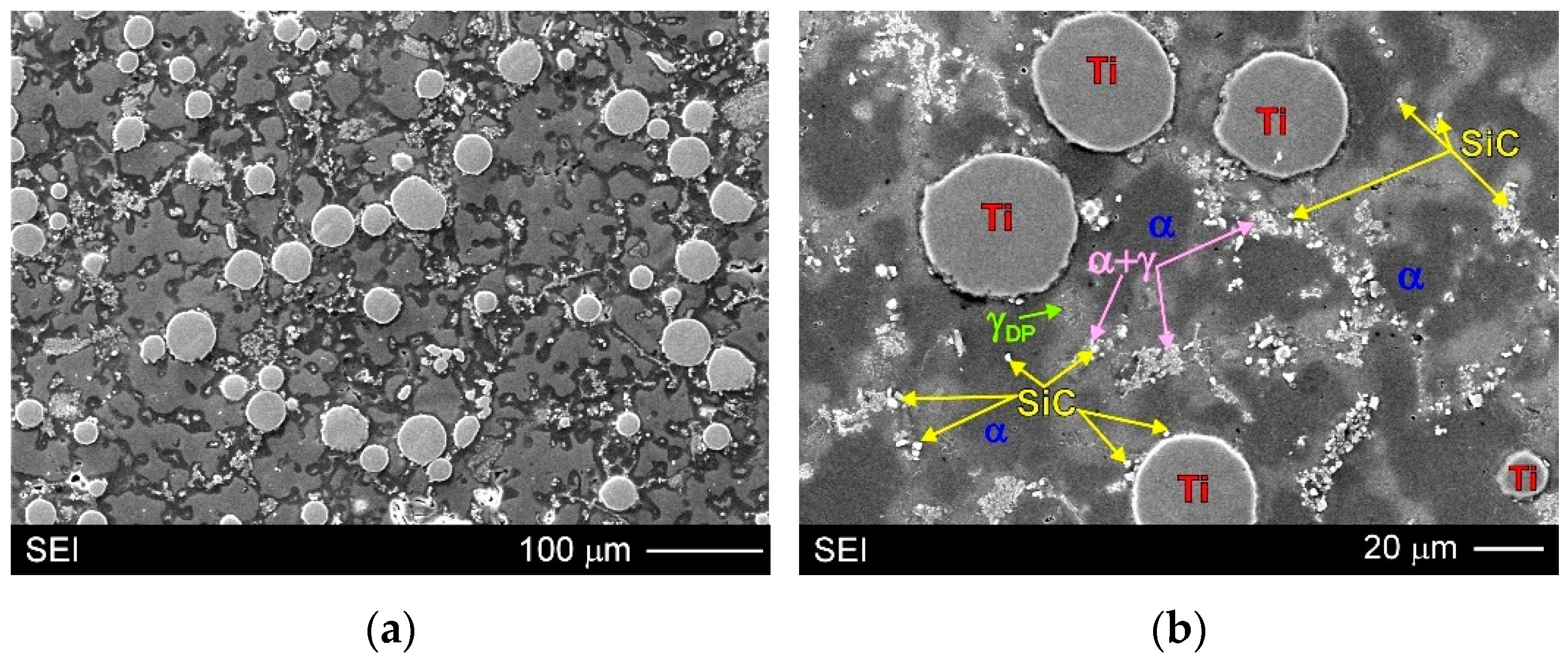 Materials 15 06301 g006