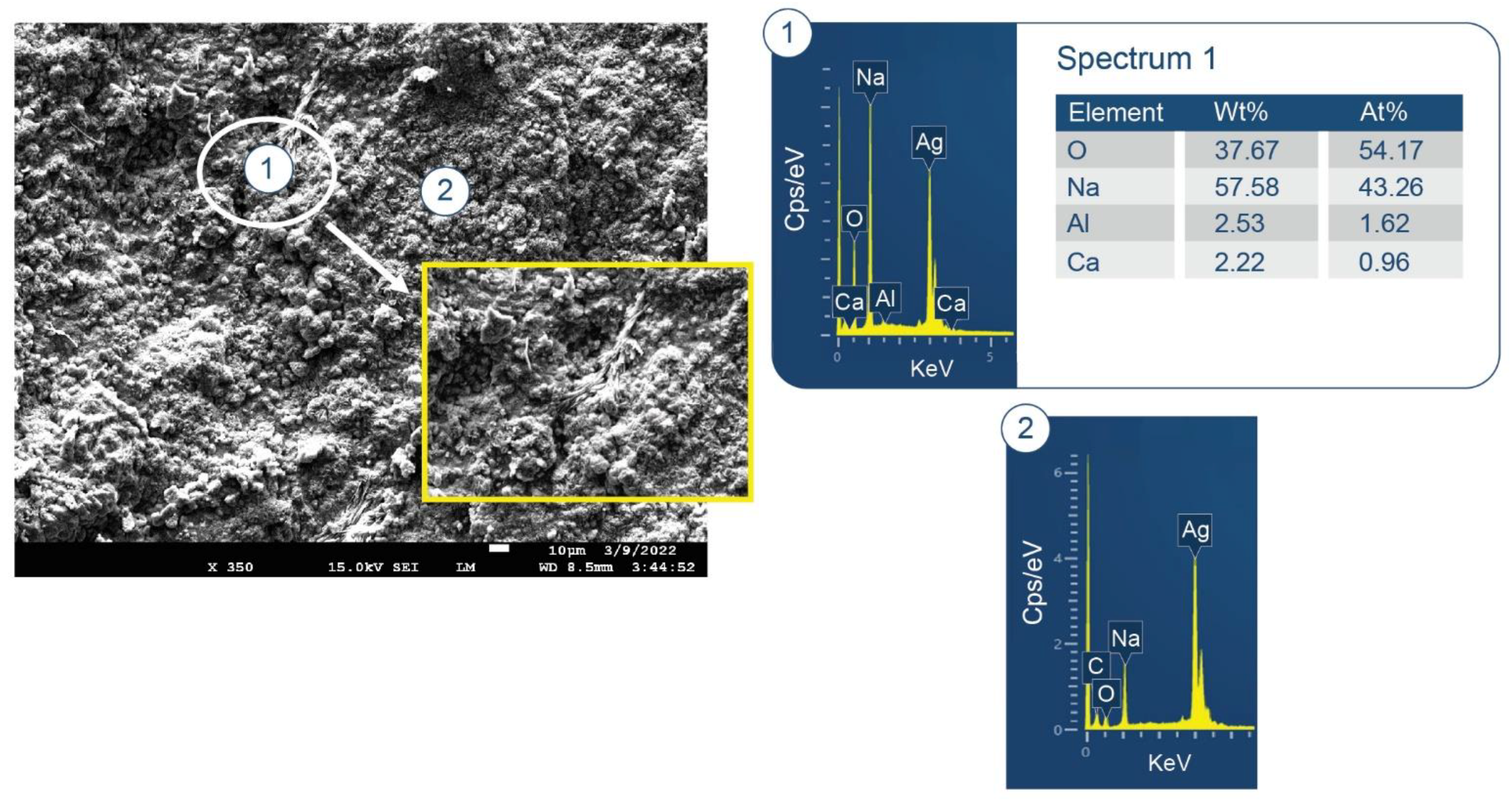 Materials 15 06328 g008