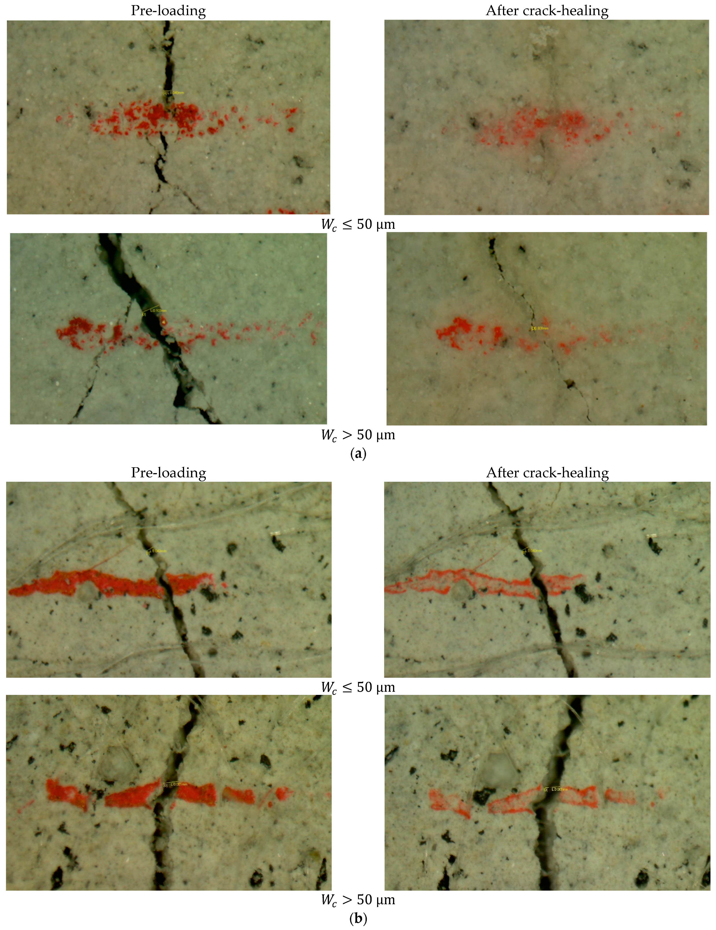 Materials 15 06339 g006