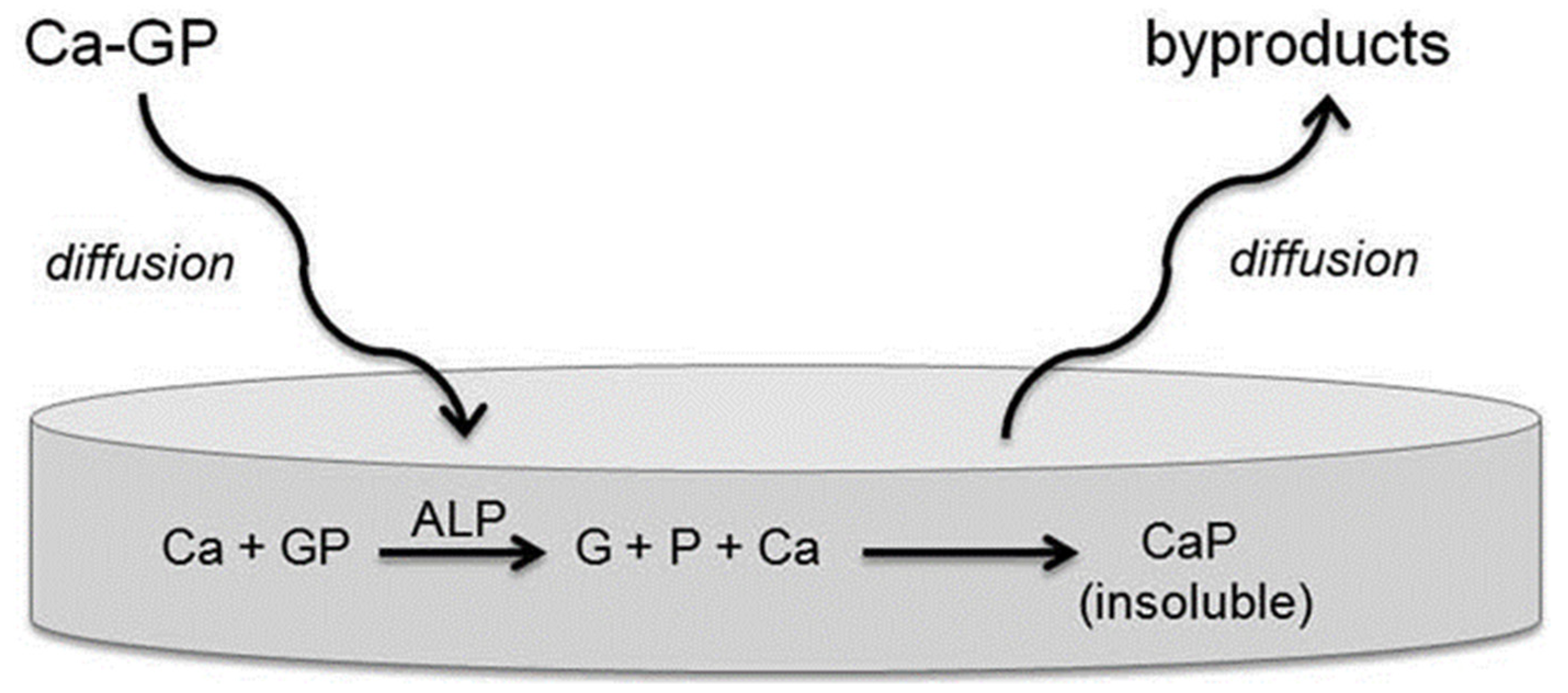 Materials 15 06383 g010